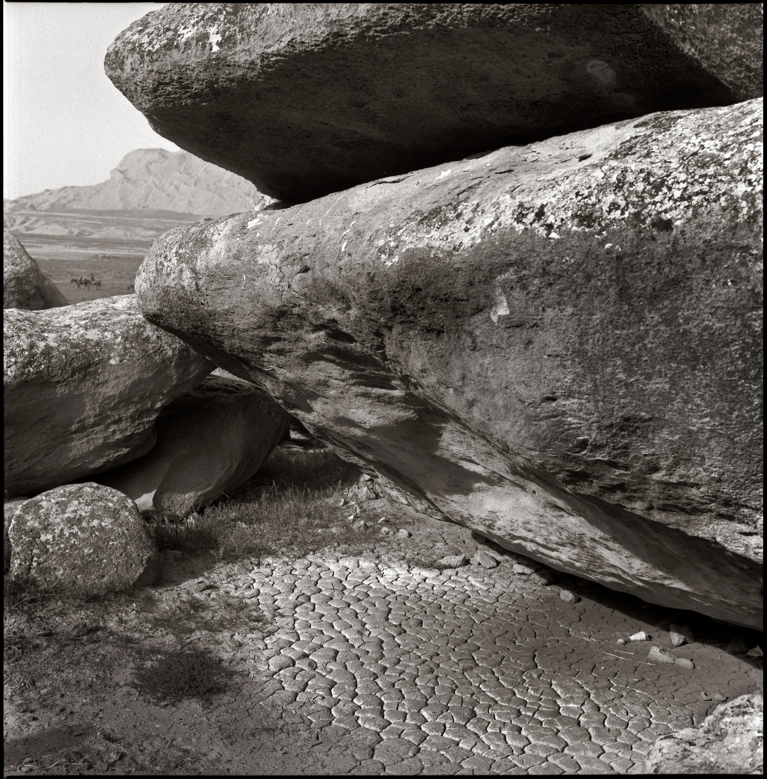 NATURE. Www.sananaleskerov.com