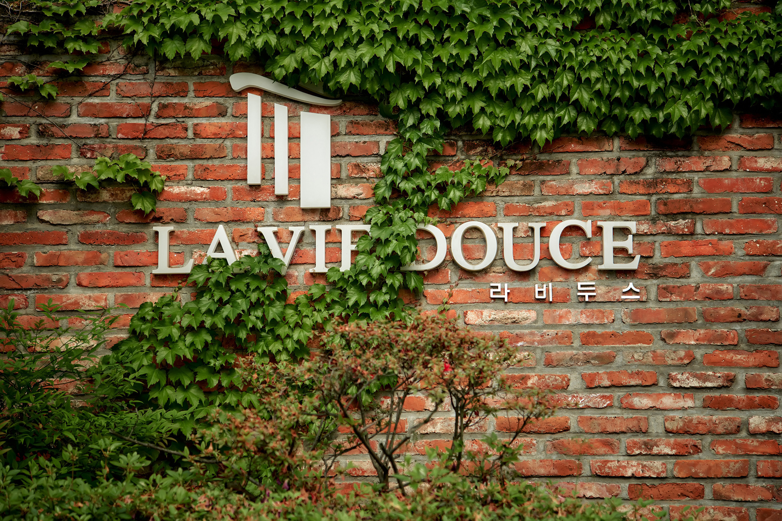 Сергей & Юлия. Фотограф в Южной Корее