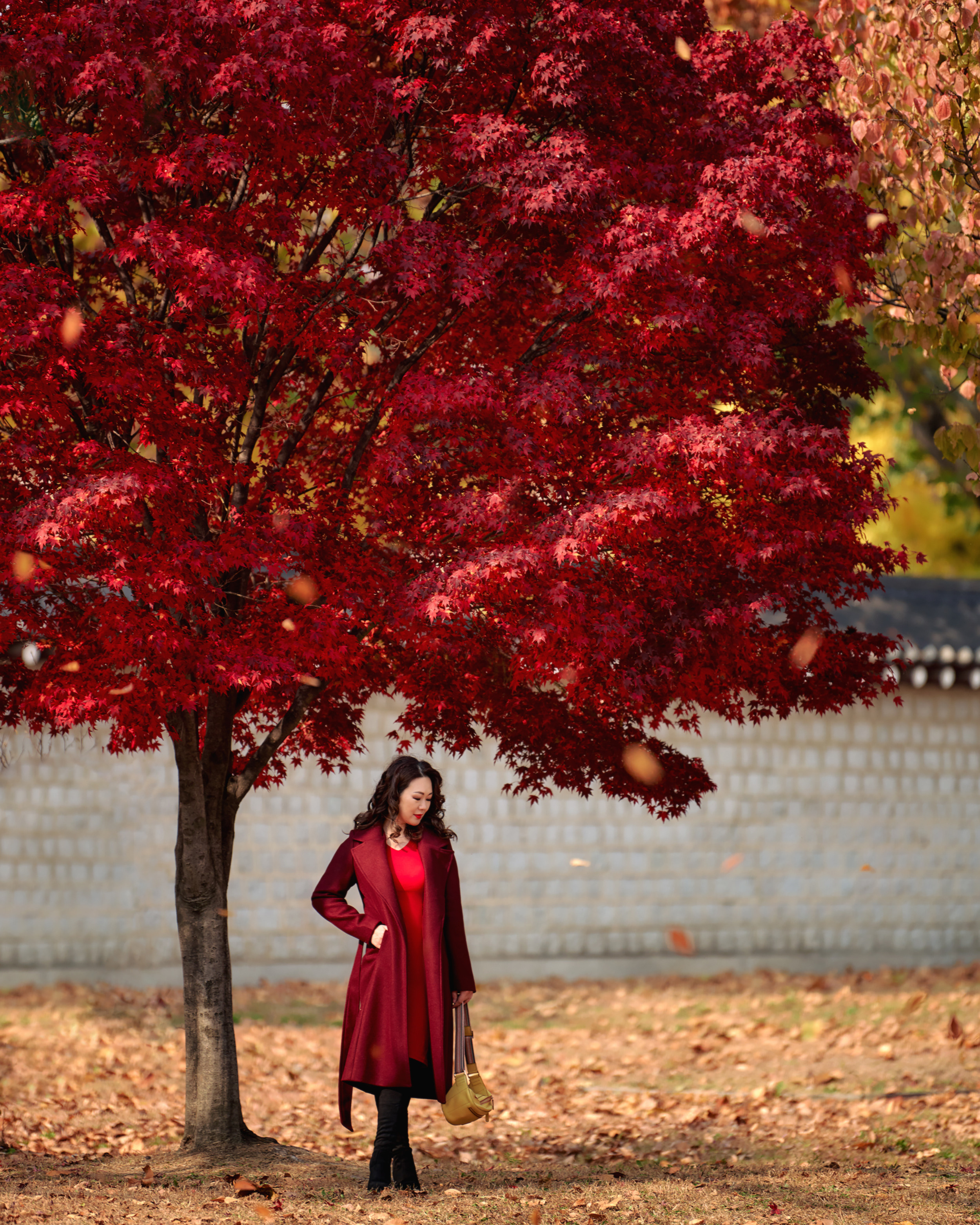 Портретные фотосессии. Фотограф в Южной Корее