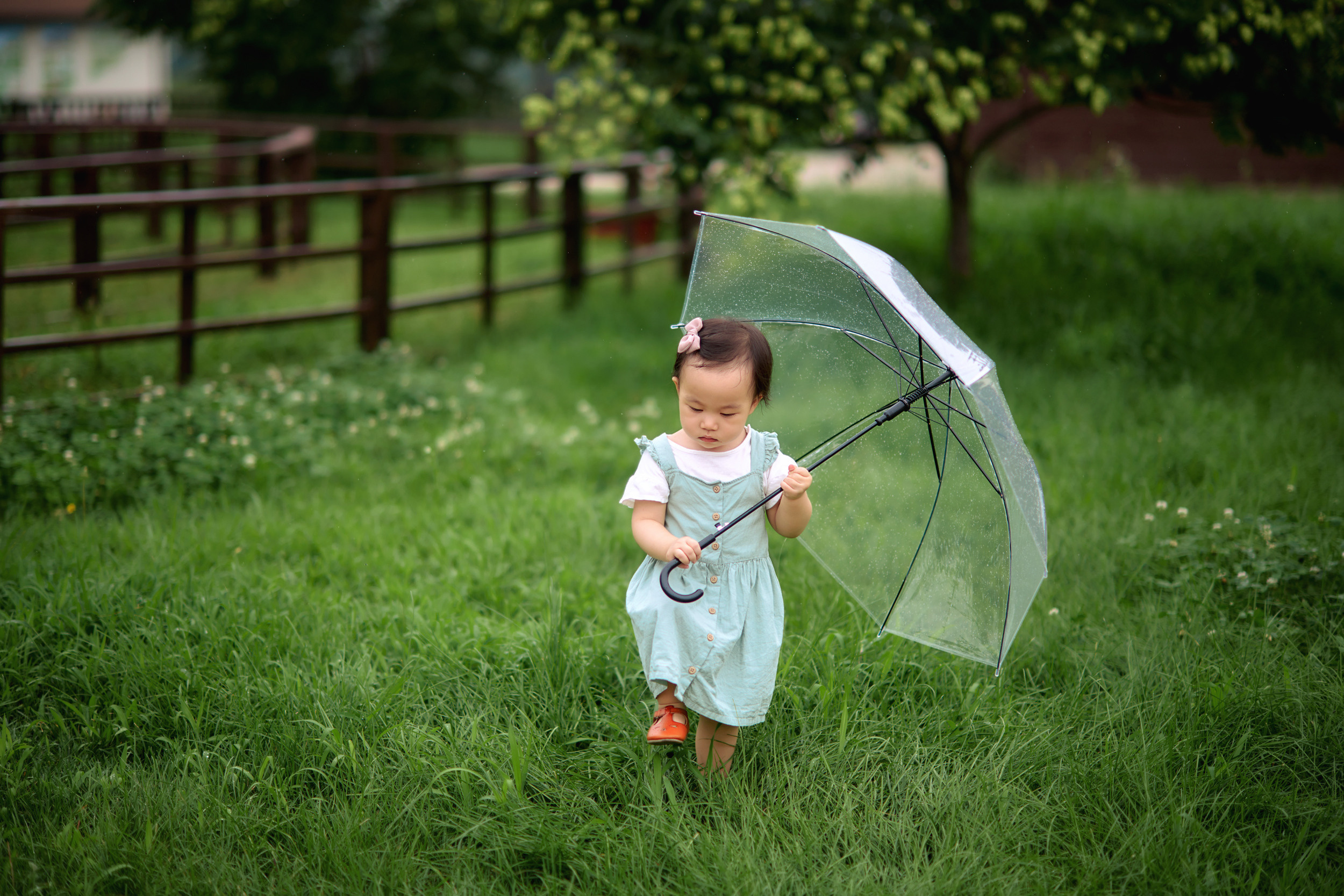 Семейные & Лавстори. Фотограф в Южной Корее