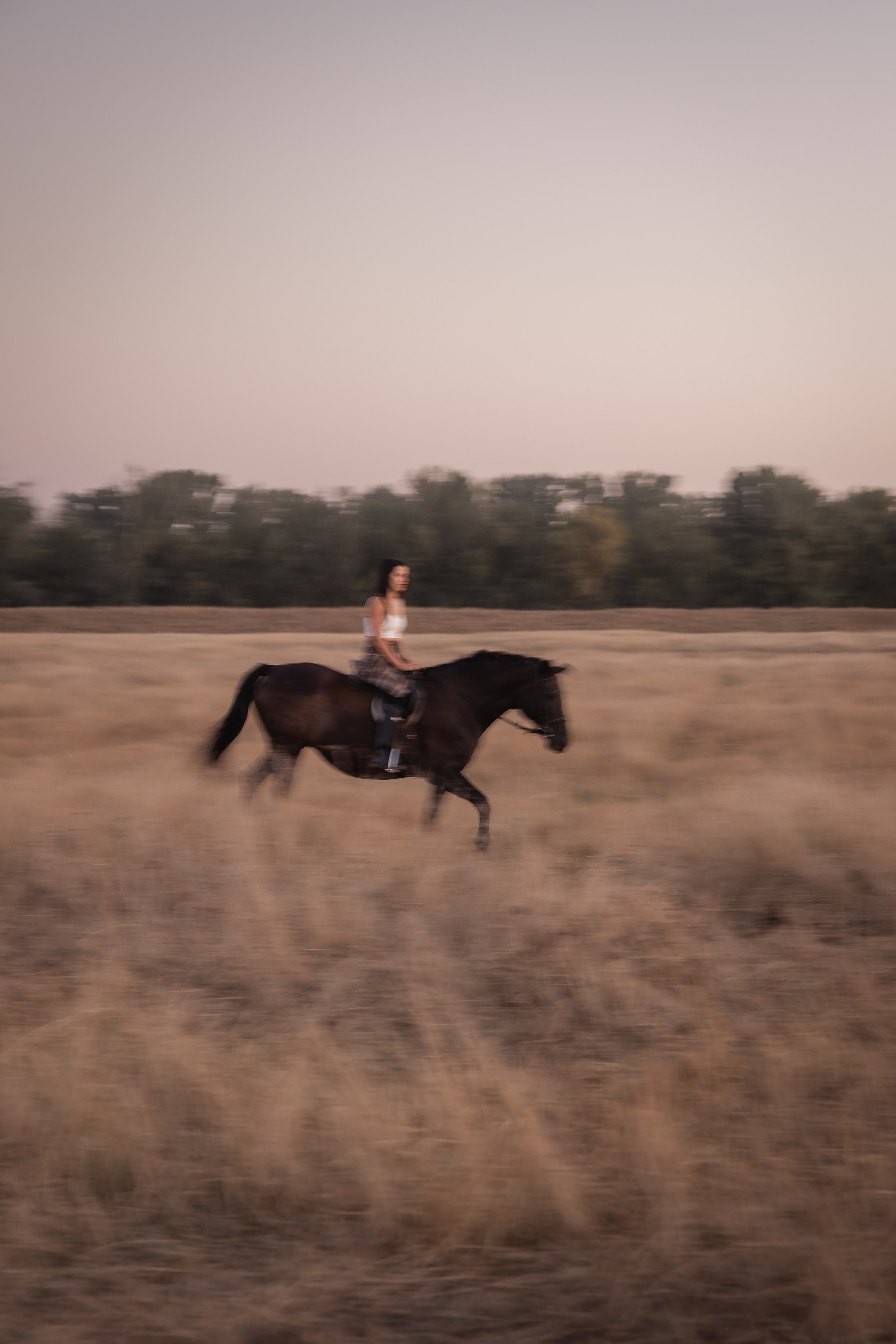 Eleganca v sedlu / Элегантность в седле. Fotograf Zoja | Fotografiranje krsta, poroke in družine v Sloveniji