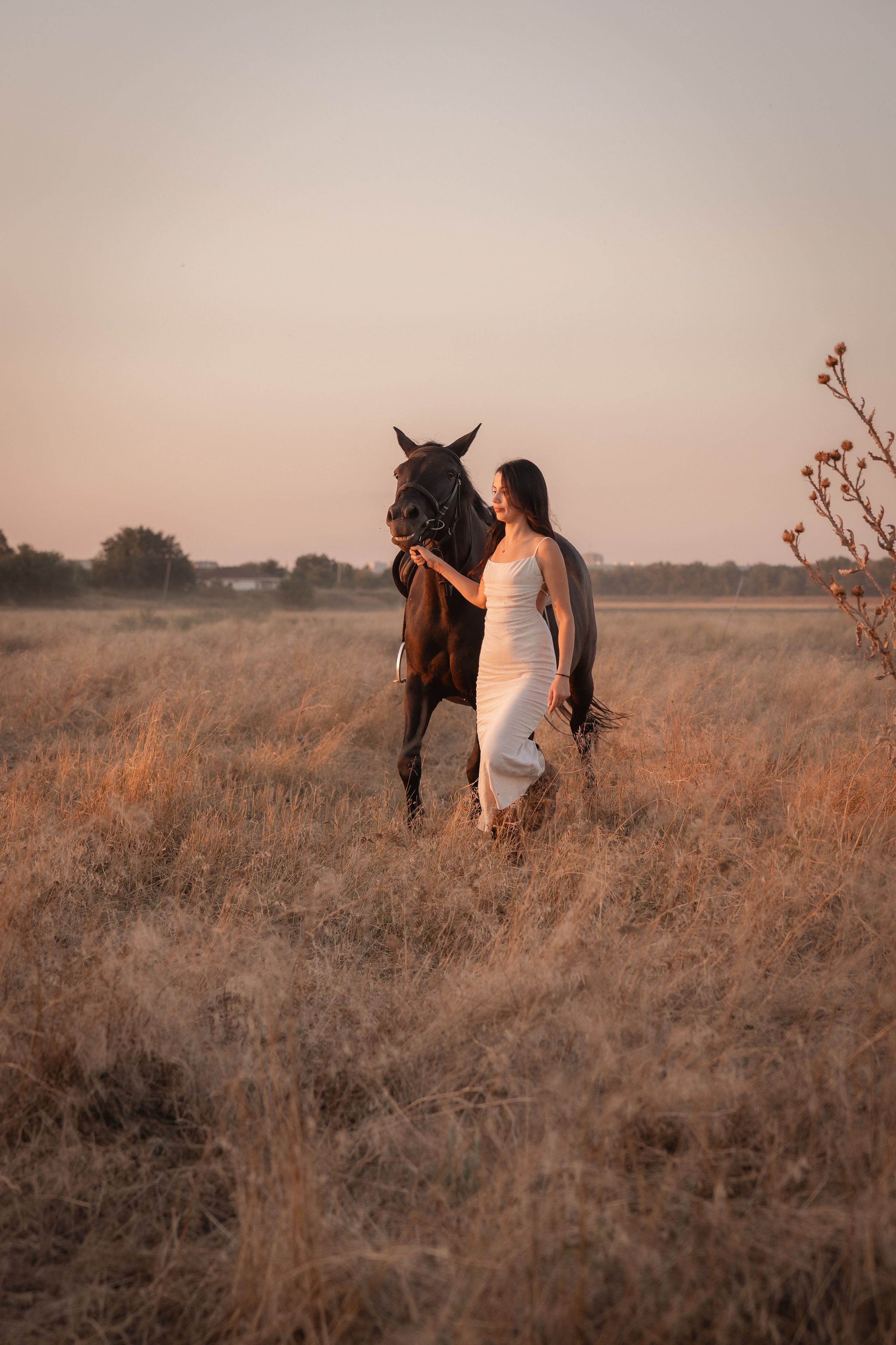 Eleganca v sedlu / Элегантность в седле. Fotograf Zoja | Fotografiranje krsta, poroke in družine v Sloveniji