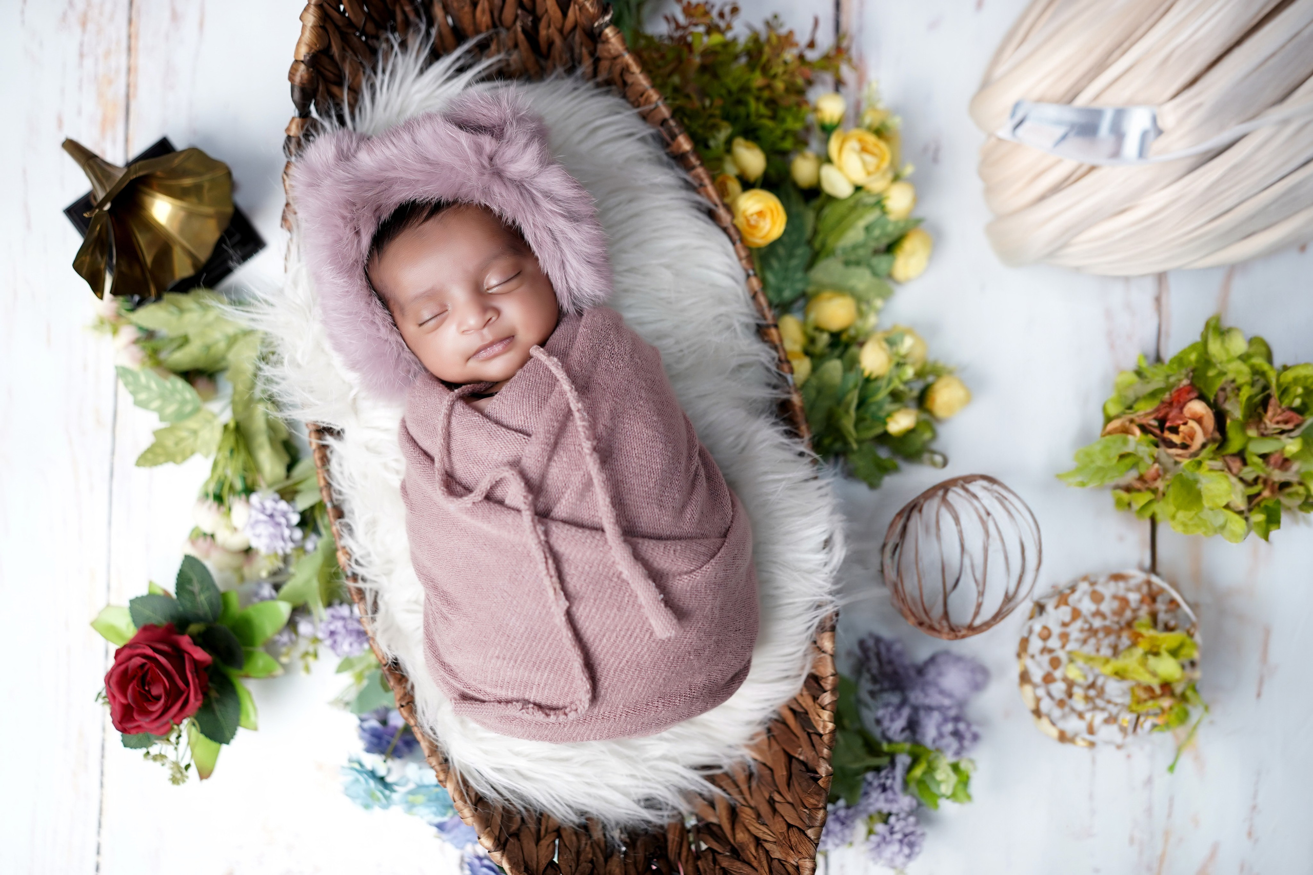 New born. TNF photo & filming