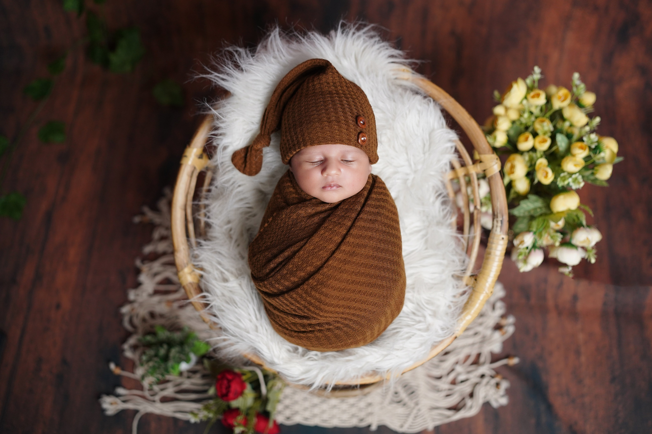 New born. TNF photo & filming
