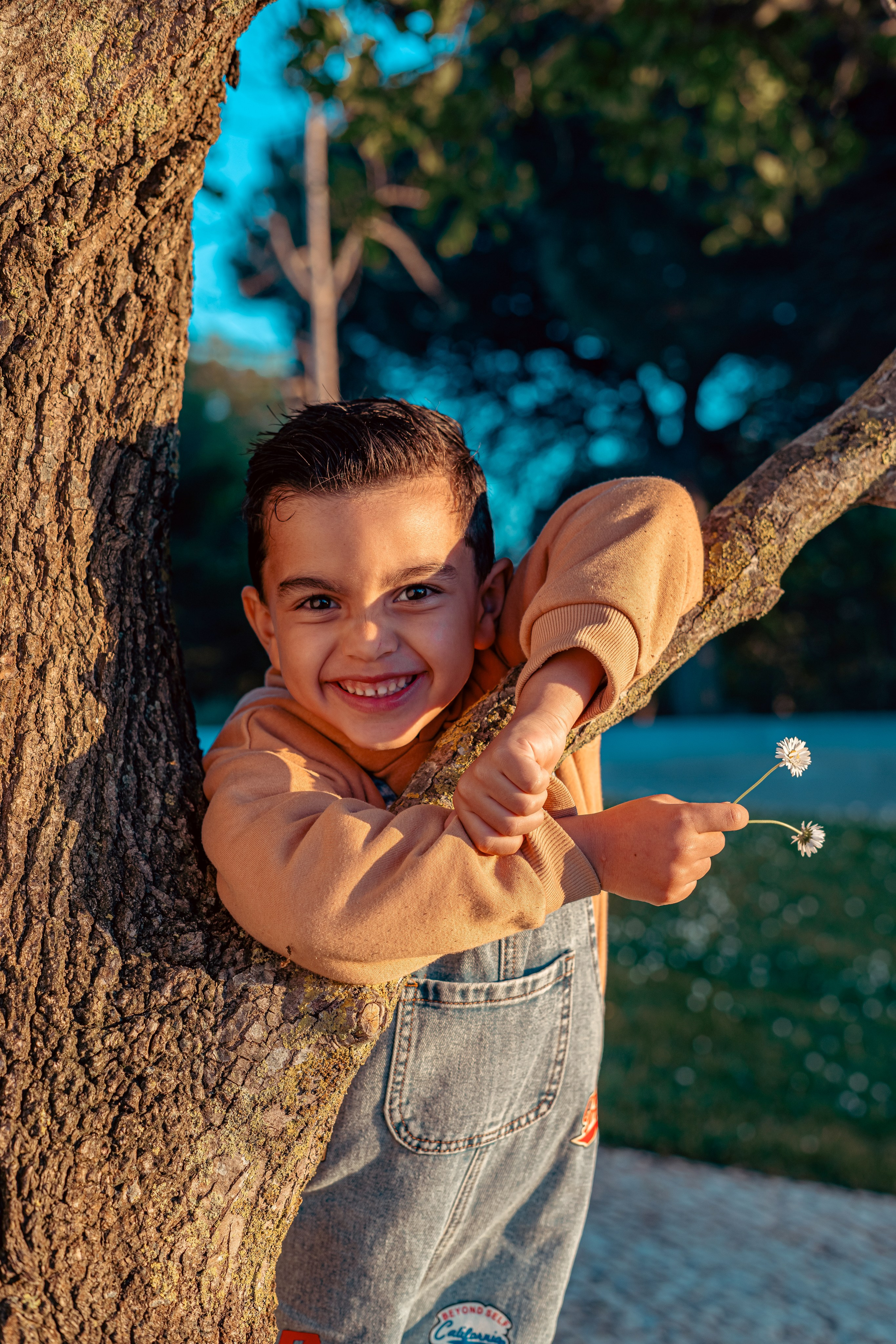Ensaio Externo Infantil. Illustra Creative. Onde a criatividade encontra a estratégia