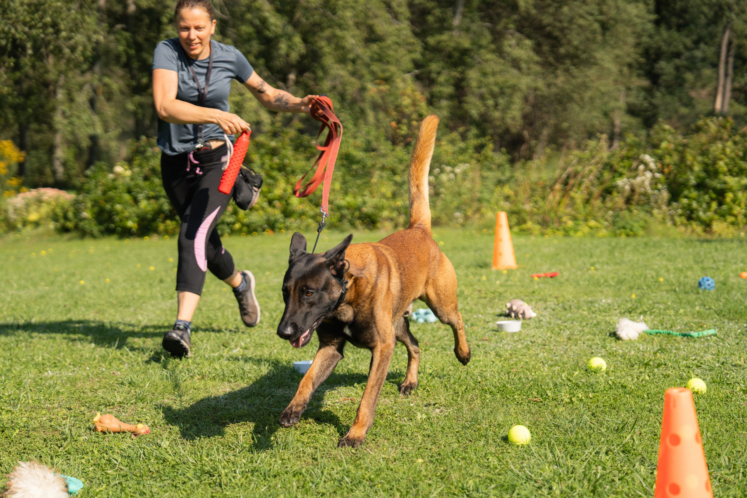Heppi Dogo fest 2025. Vita Klimaševska ○ Fluffy Soulmate Photography