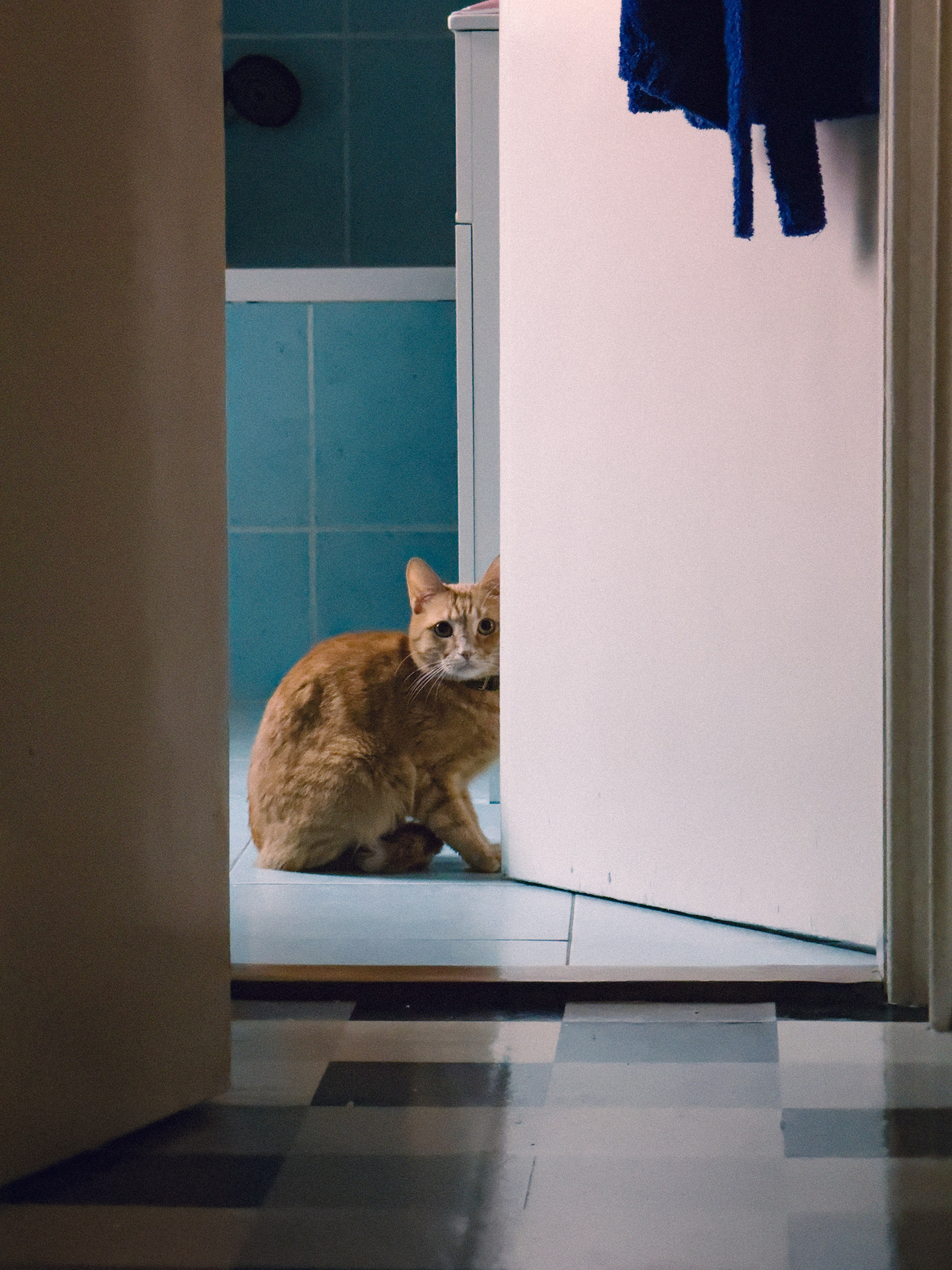 Мобильная съемка. Анастасия Еремина | Фотограф в Сербии | Персональные и бизнес-фотосессии в Белграде и Нови Саде