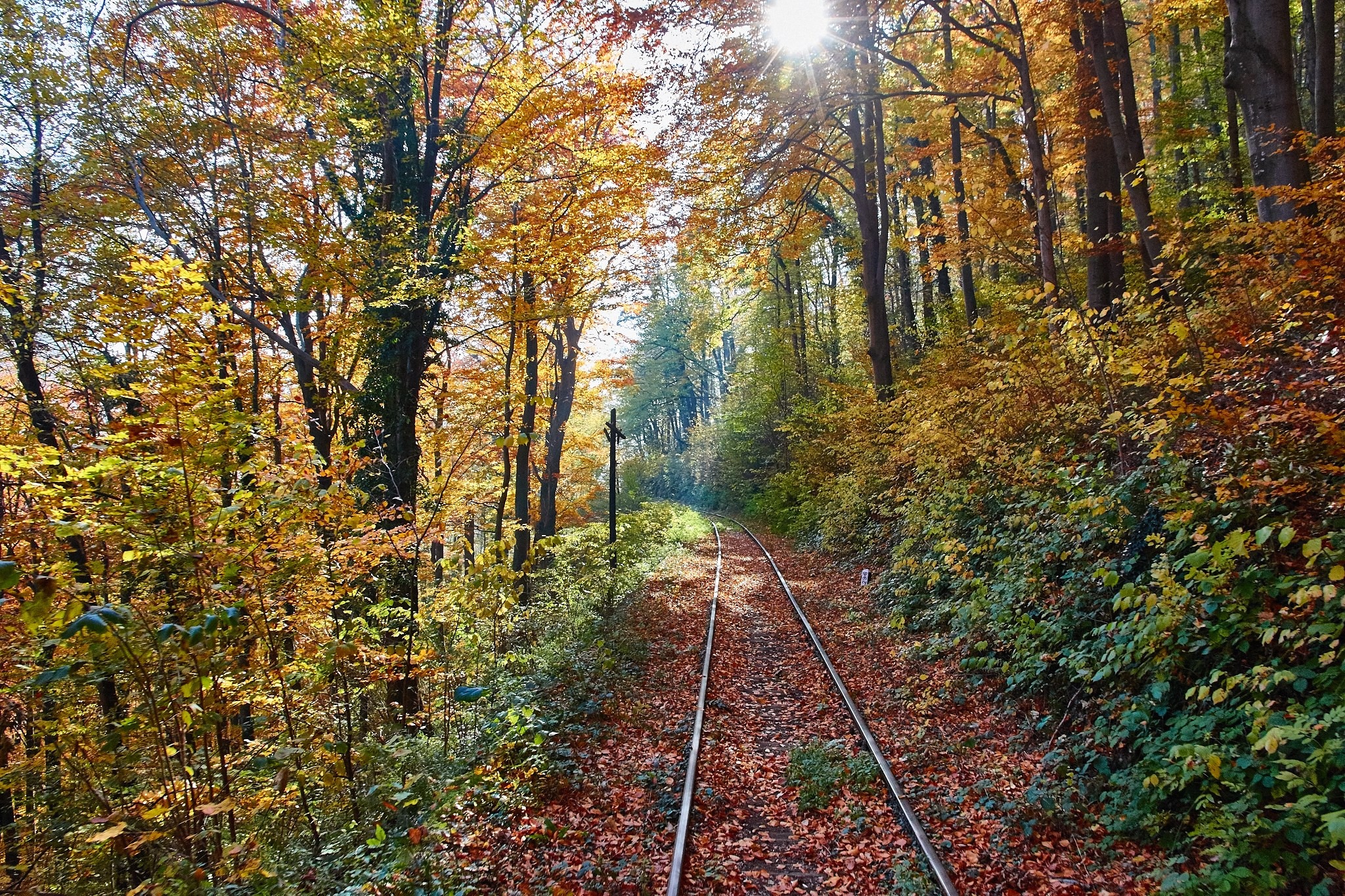 Toamna pe calea ferată Oravița-Anina, jud. Caraș-Severin. Pagina principală