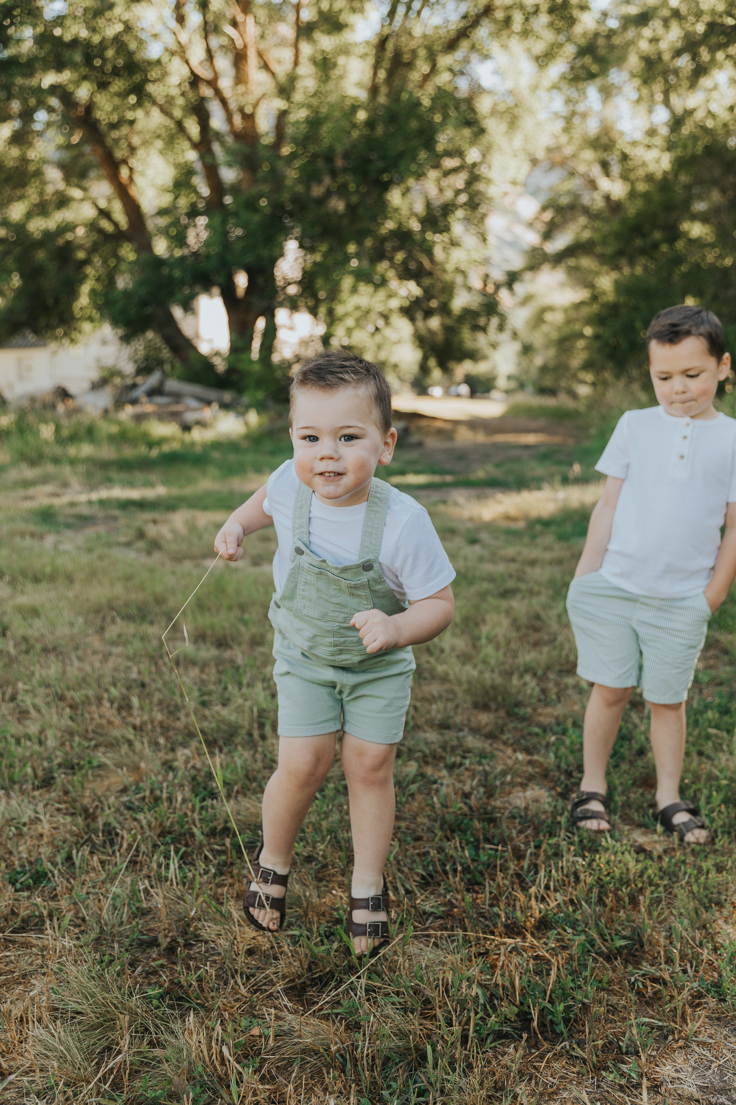 DeFiguerido | Utah Summer. Utah Family Photographer