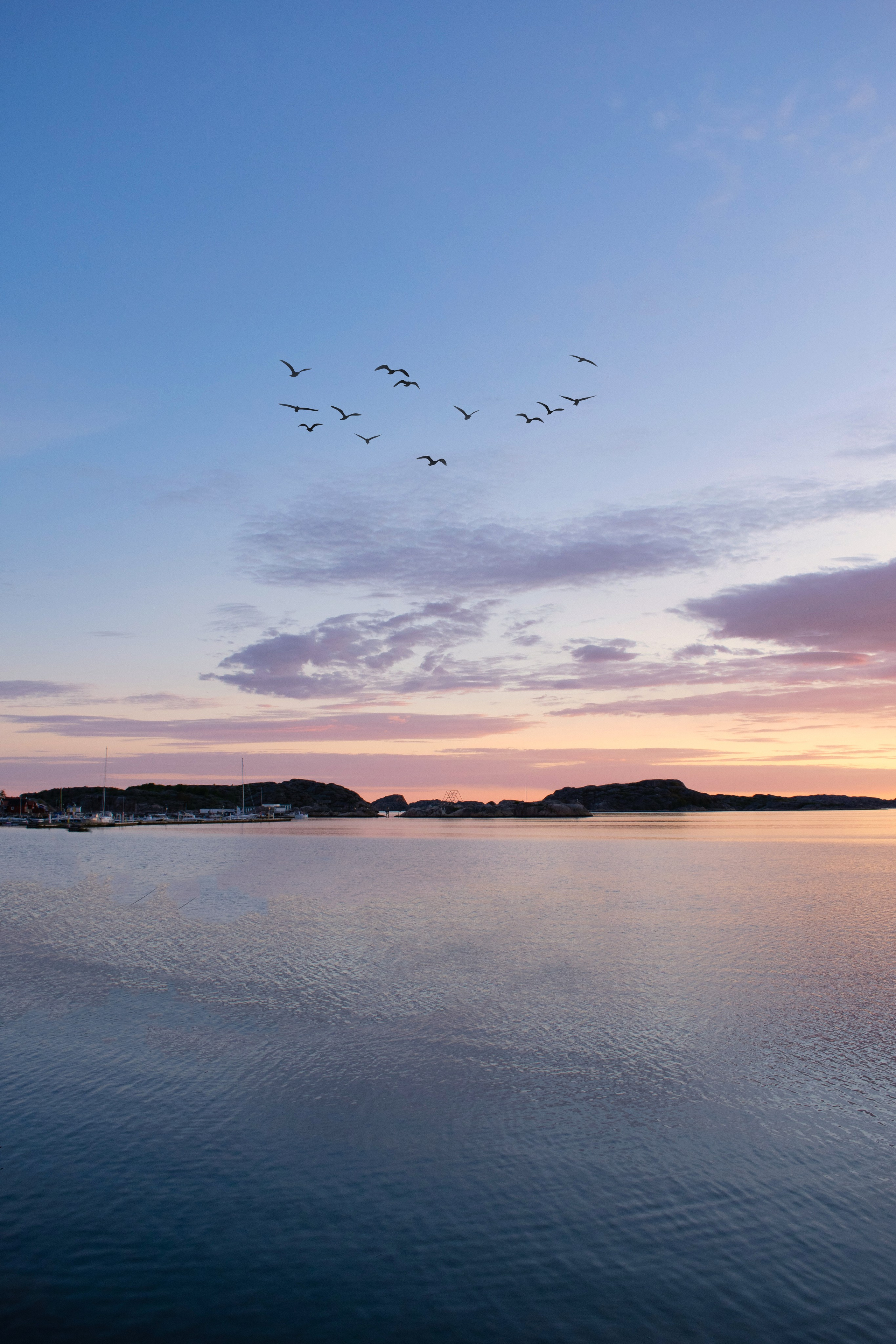 Portfolio. Photographer in Sotenäs municipality. Fotograf i Sotenäs kommun