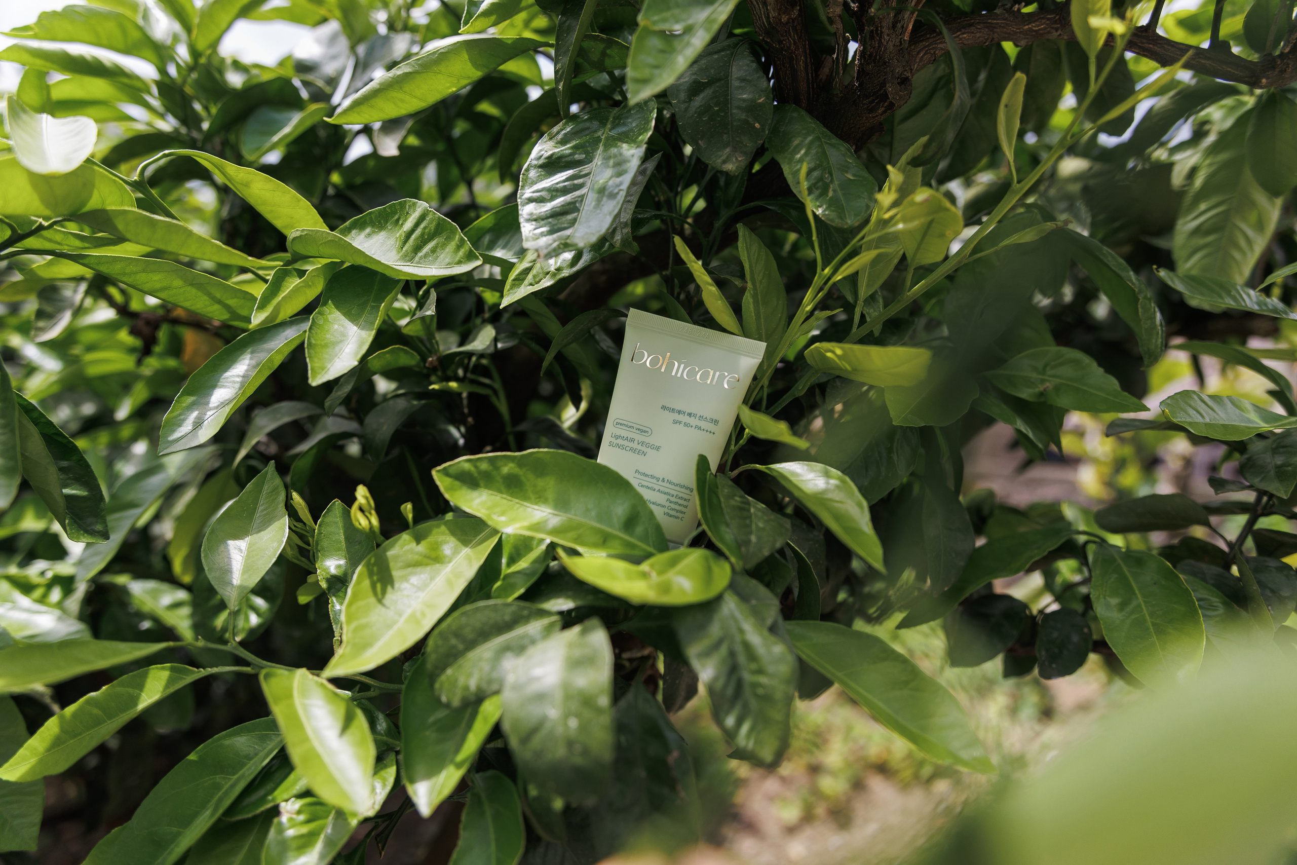 Jeju Island K-Beauty Tour (bohicare). Portrait photographer in South Korea Olga Lian