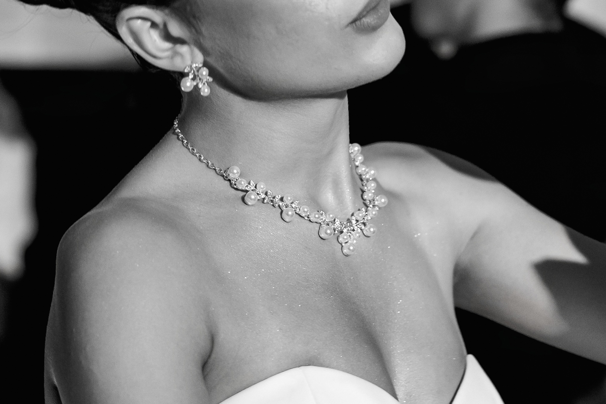 Serghei & Erica — Queen Residence. Servicii Foto și Video 067188353