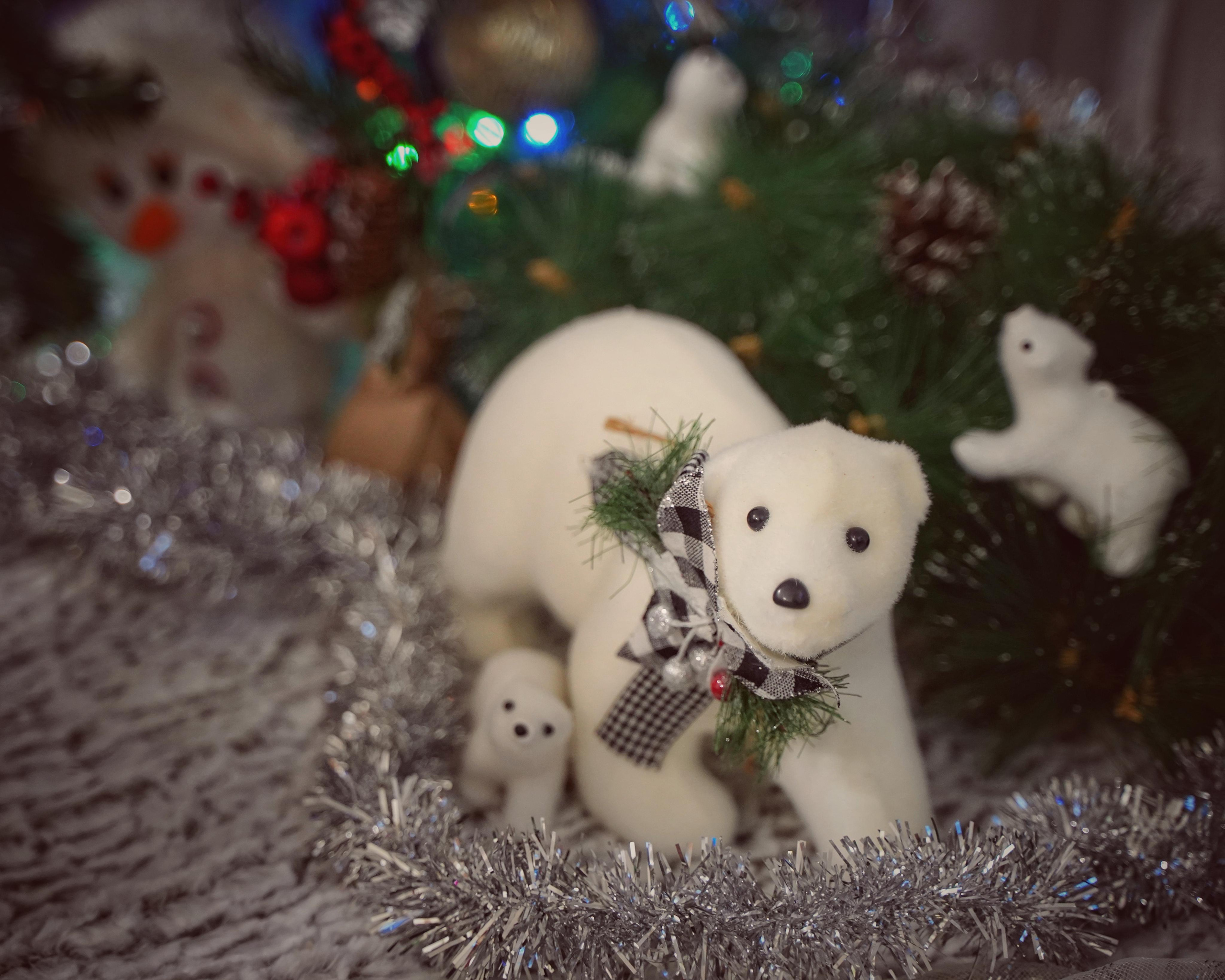 Праздничное настроение. Фотограф. Визуал. Хайфа. Талья Цветкова