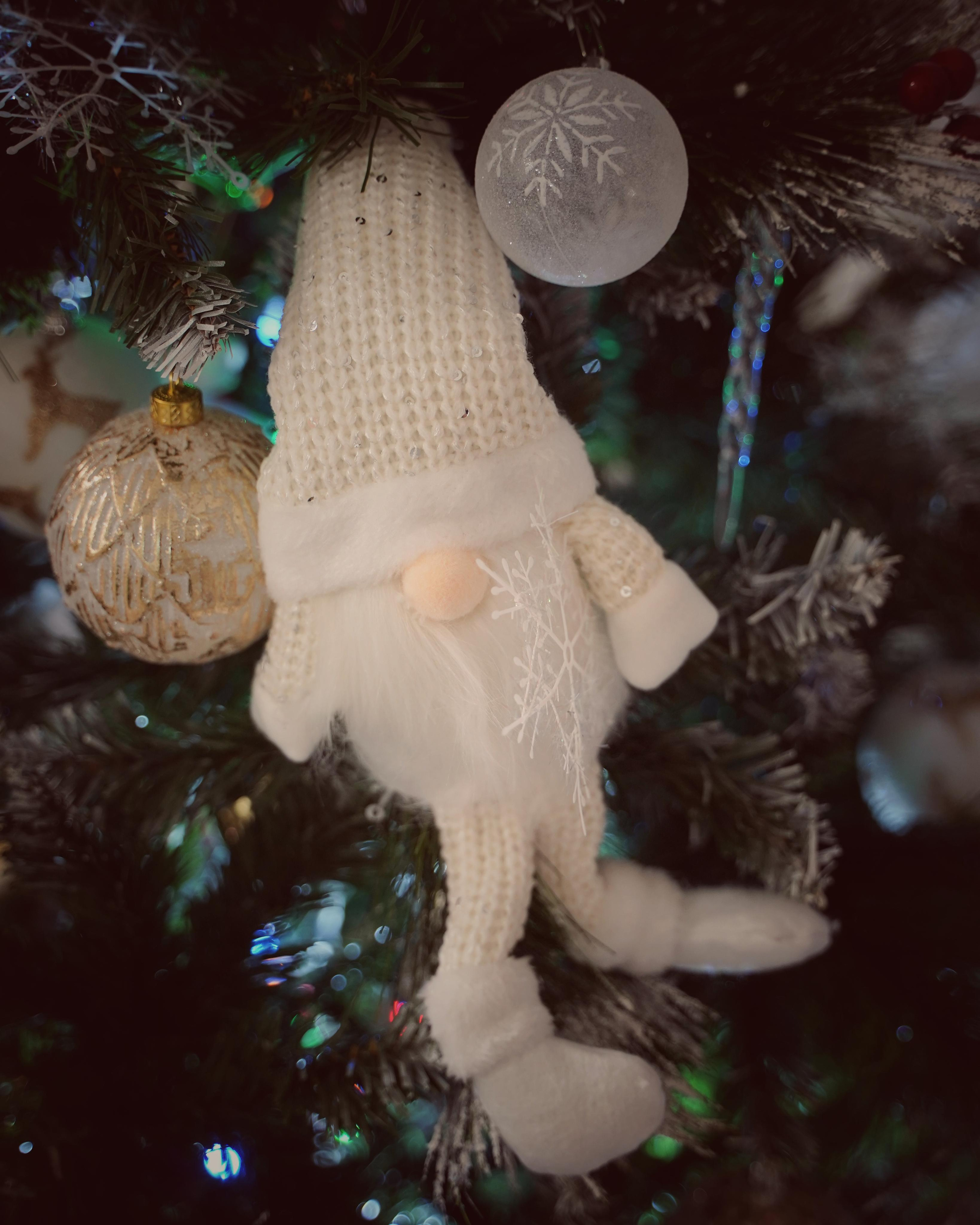 Снежинка. Фотограф. Визуал. Хайфа. Талья Цветкова