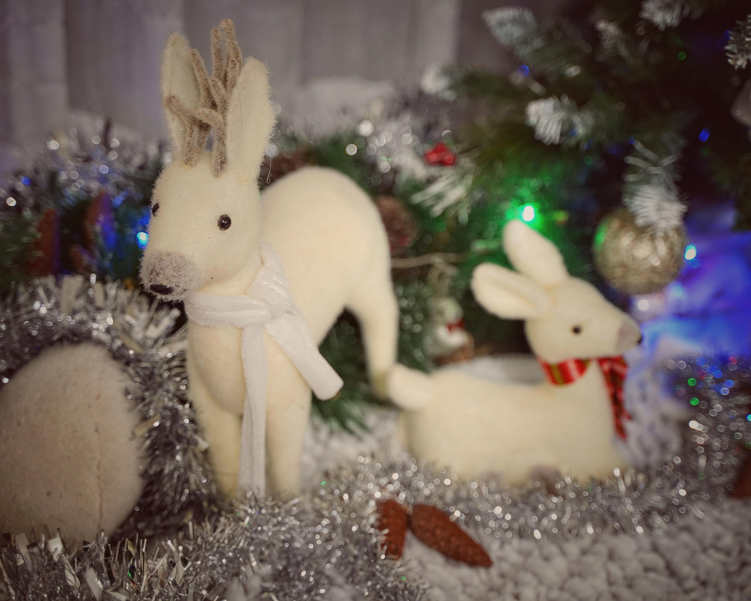 Праздничное настроение. Фотограф. Визуал. Хайфа. Талья Цветкова