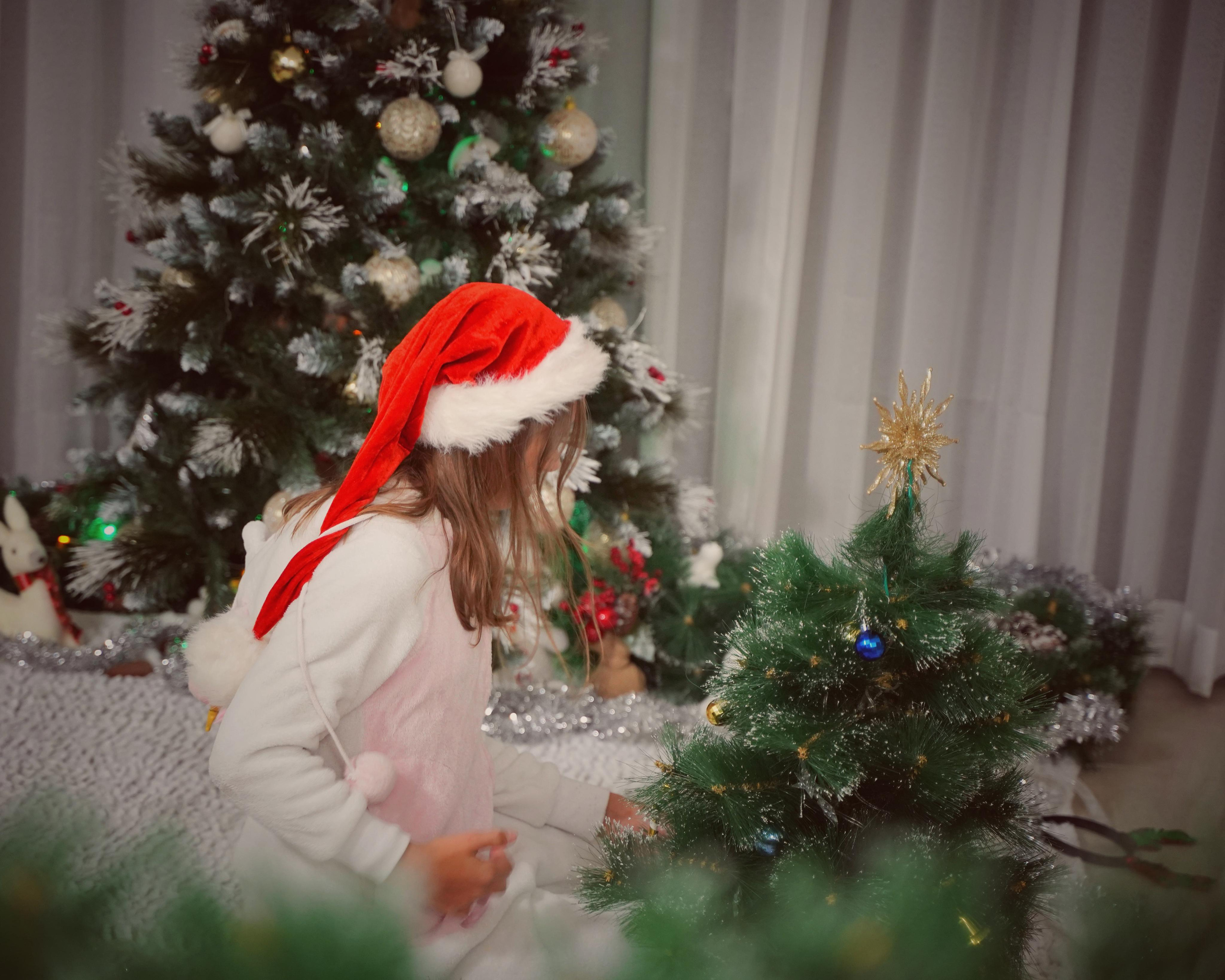 Праздничное настроение. Фотограф. Визуал. Хайфа. Талья Цветкова