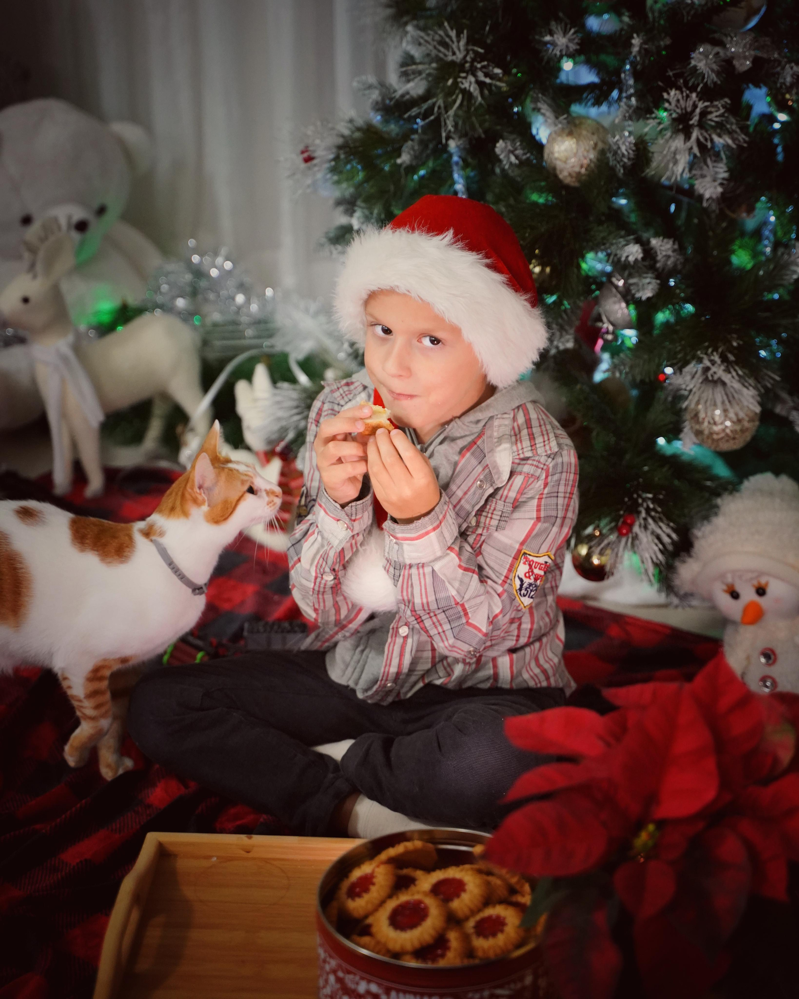 Гномик. Фотограф. Визуал. Хайфа. Талья Цветкова