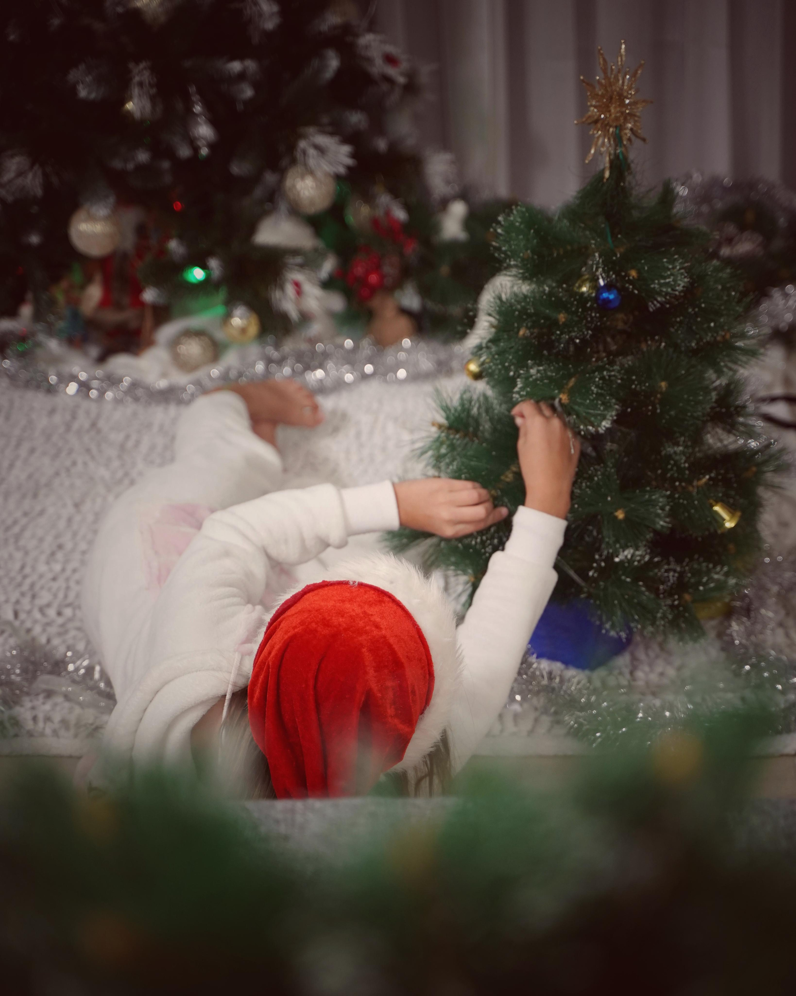 Праздничное настроение. Фотограф. Визуал. Хайфа. Талья Цветкова