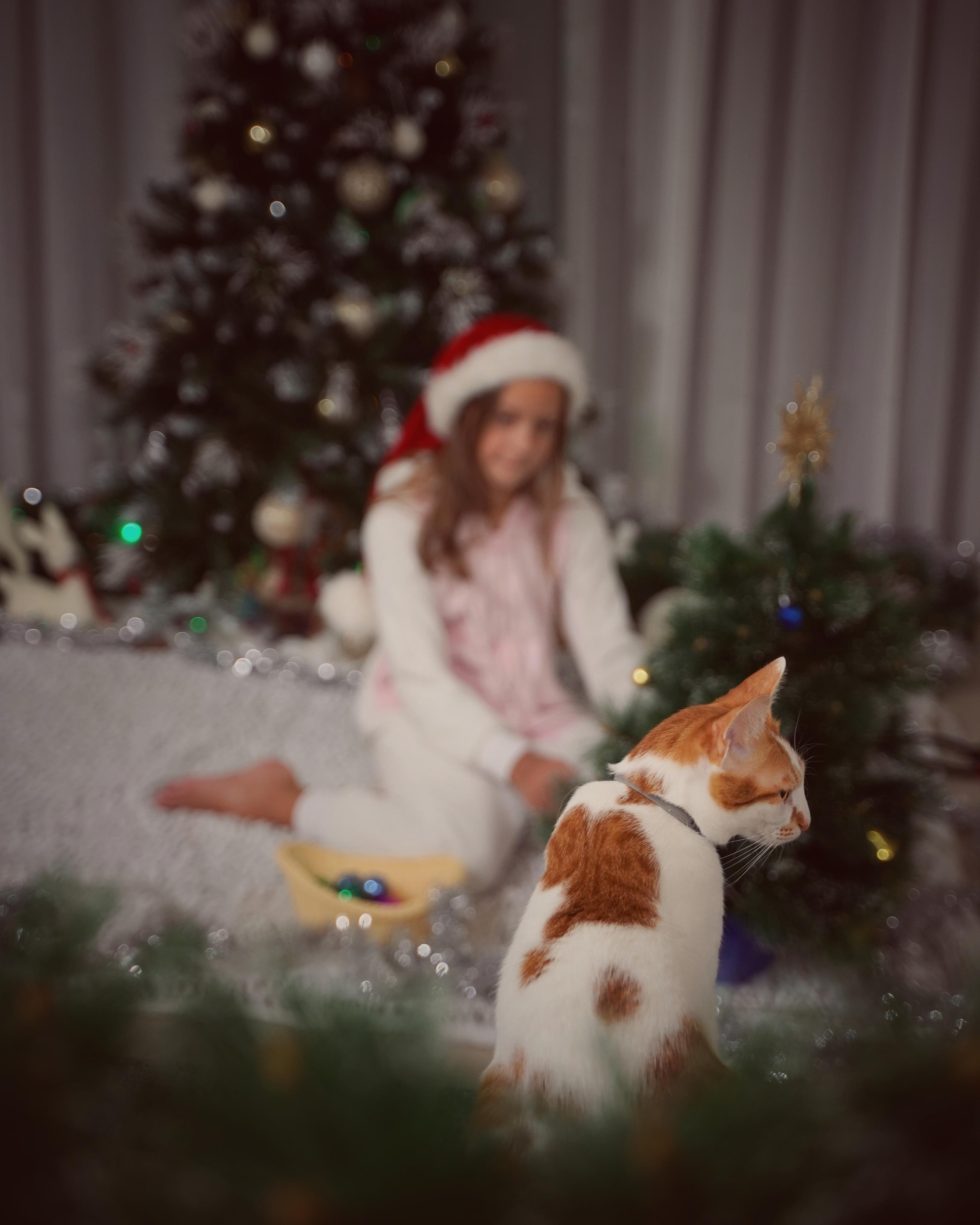 Праздничное настроение. Фотограф. Визуал. Хайфа. Талья Цветкова