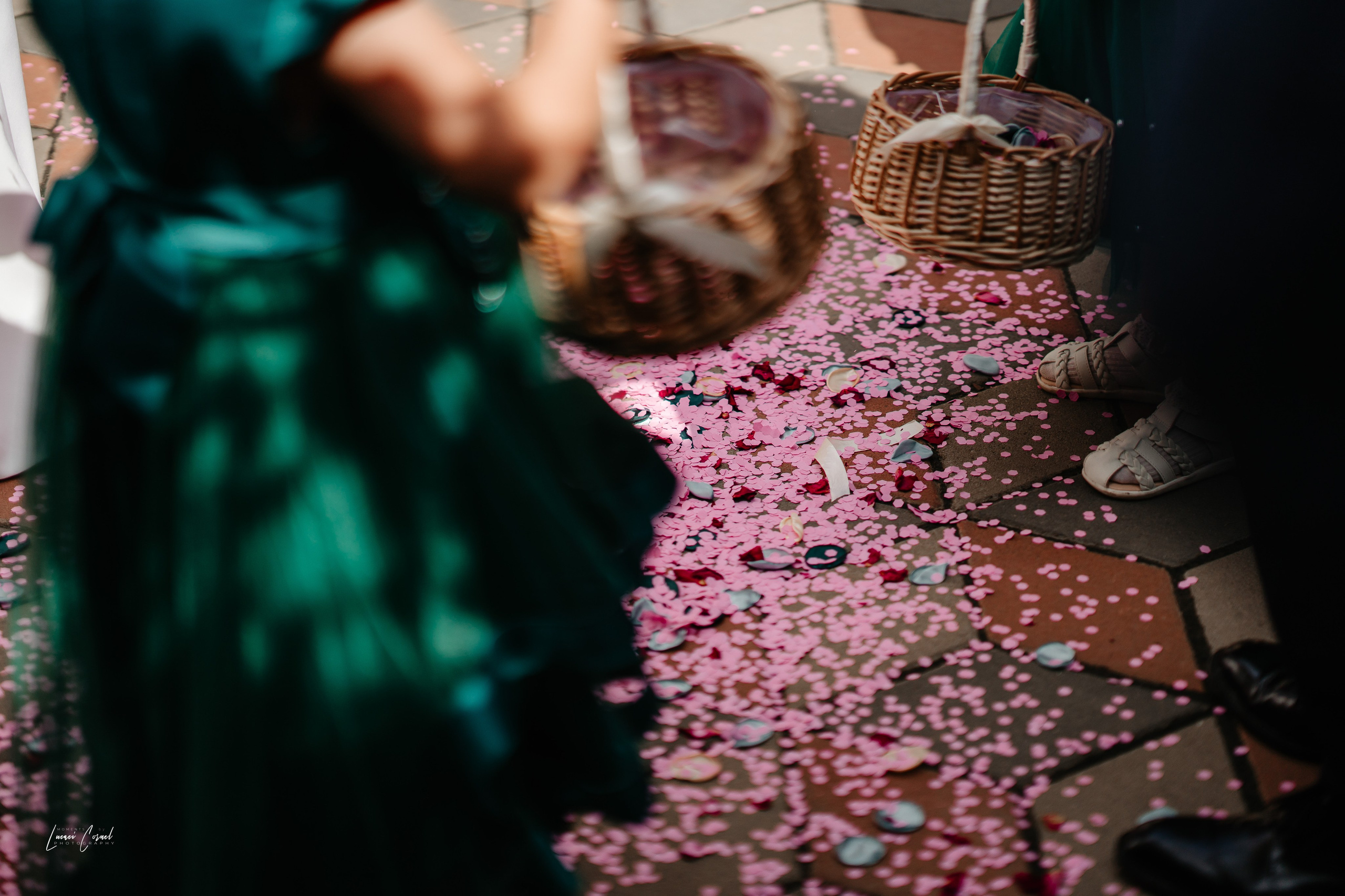 Diana & Cătălin – Nuntă clasică și rafinată. Fotograf de nuntă, corporate, botezuri, majorate și aniversări Roman, Lucaci Cornel