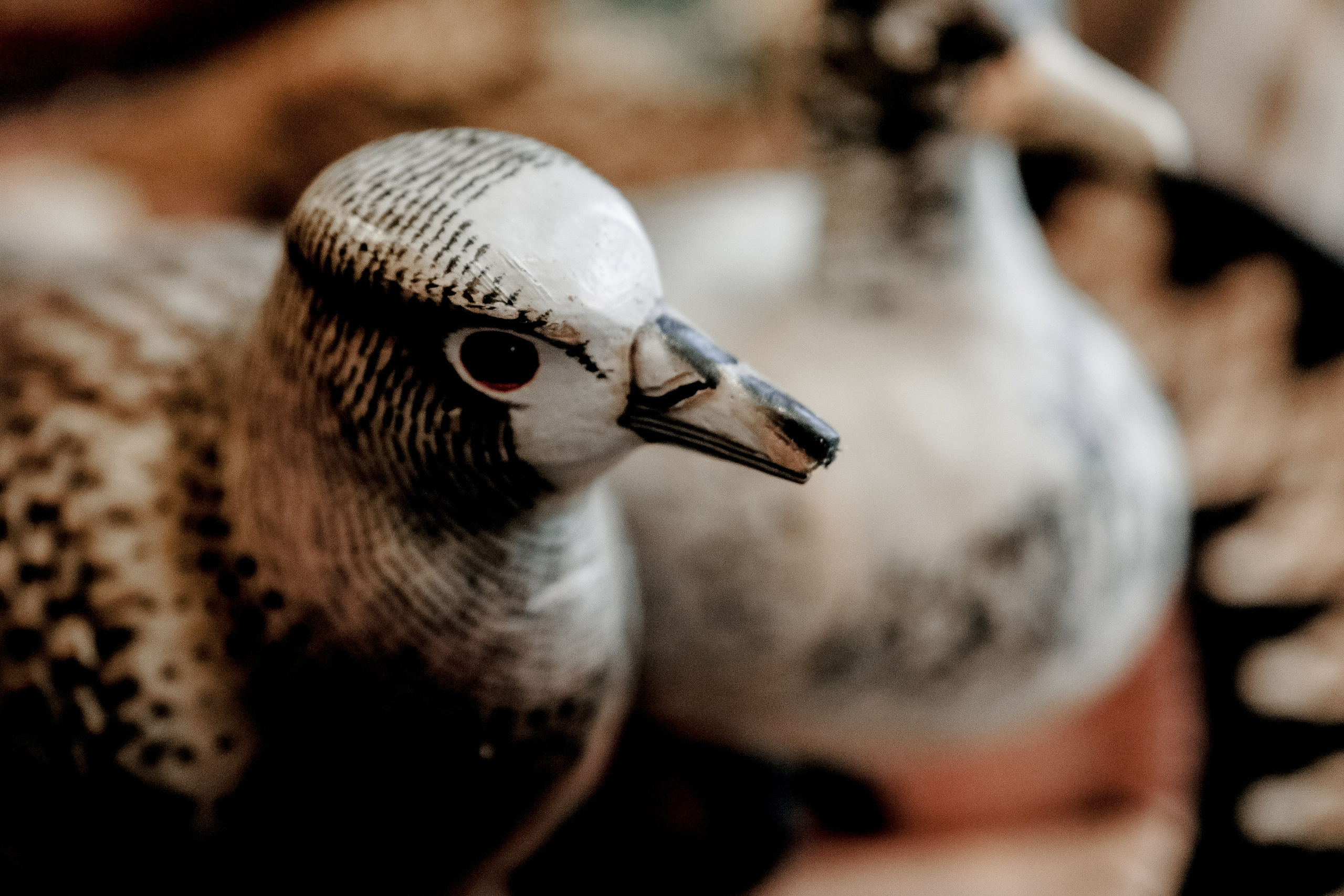 Laura & Matew. UNTERCIO BODAS