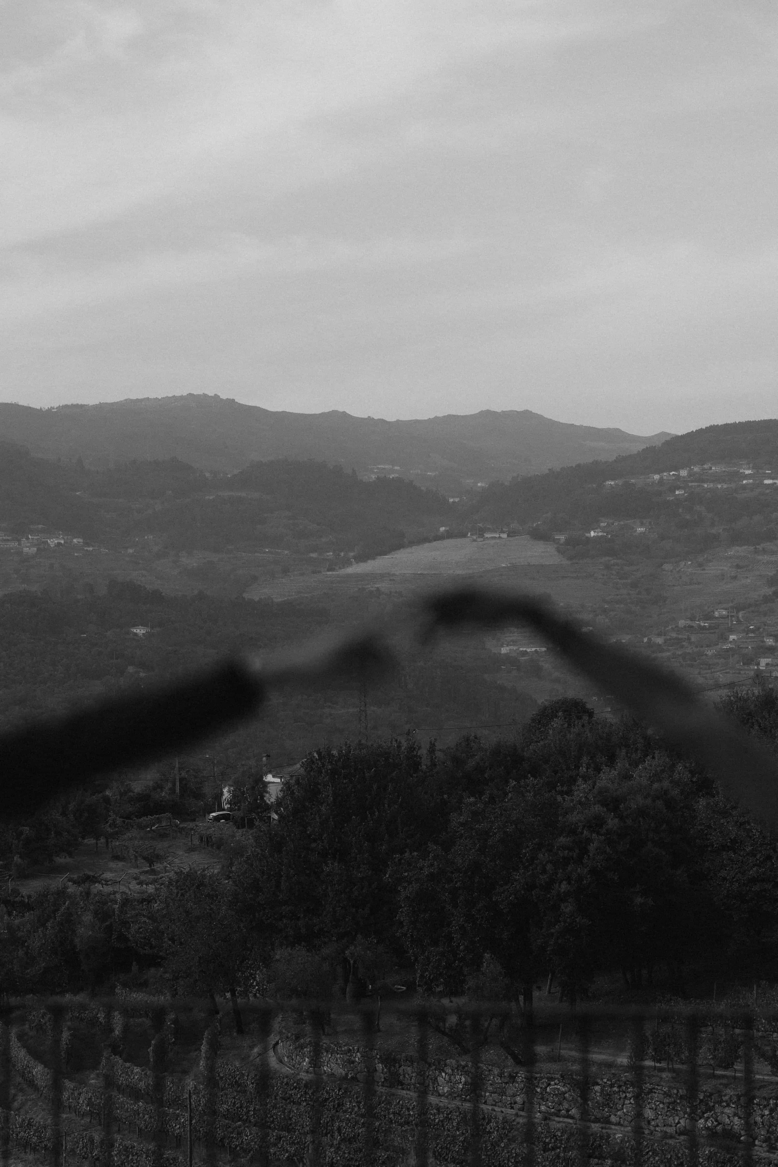 Maya e Trey. Fabio Barth | Foto e Filme de casamento