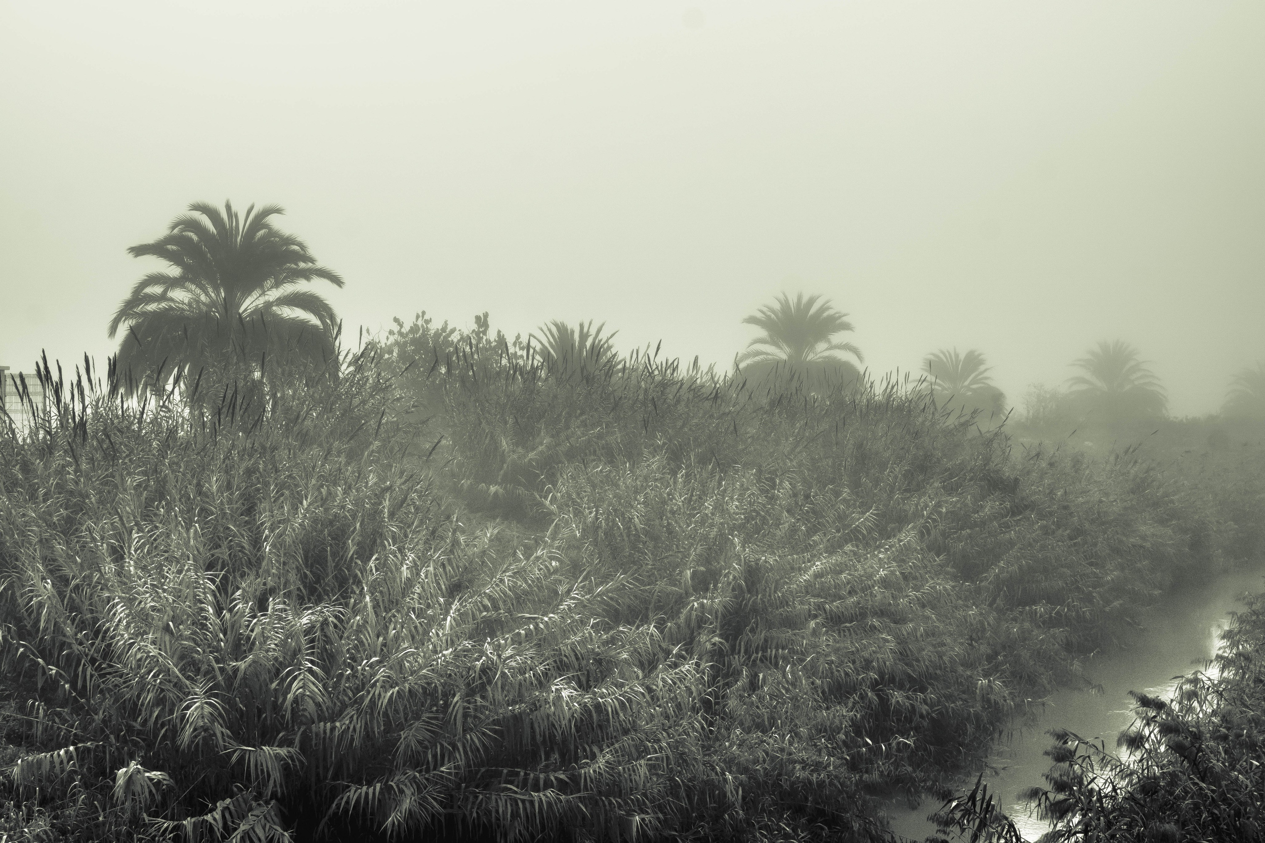 Rojales. Alba del Norte Studio