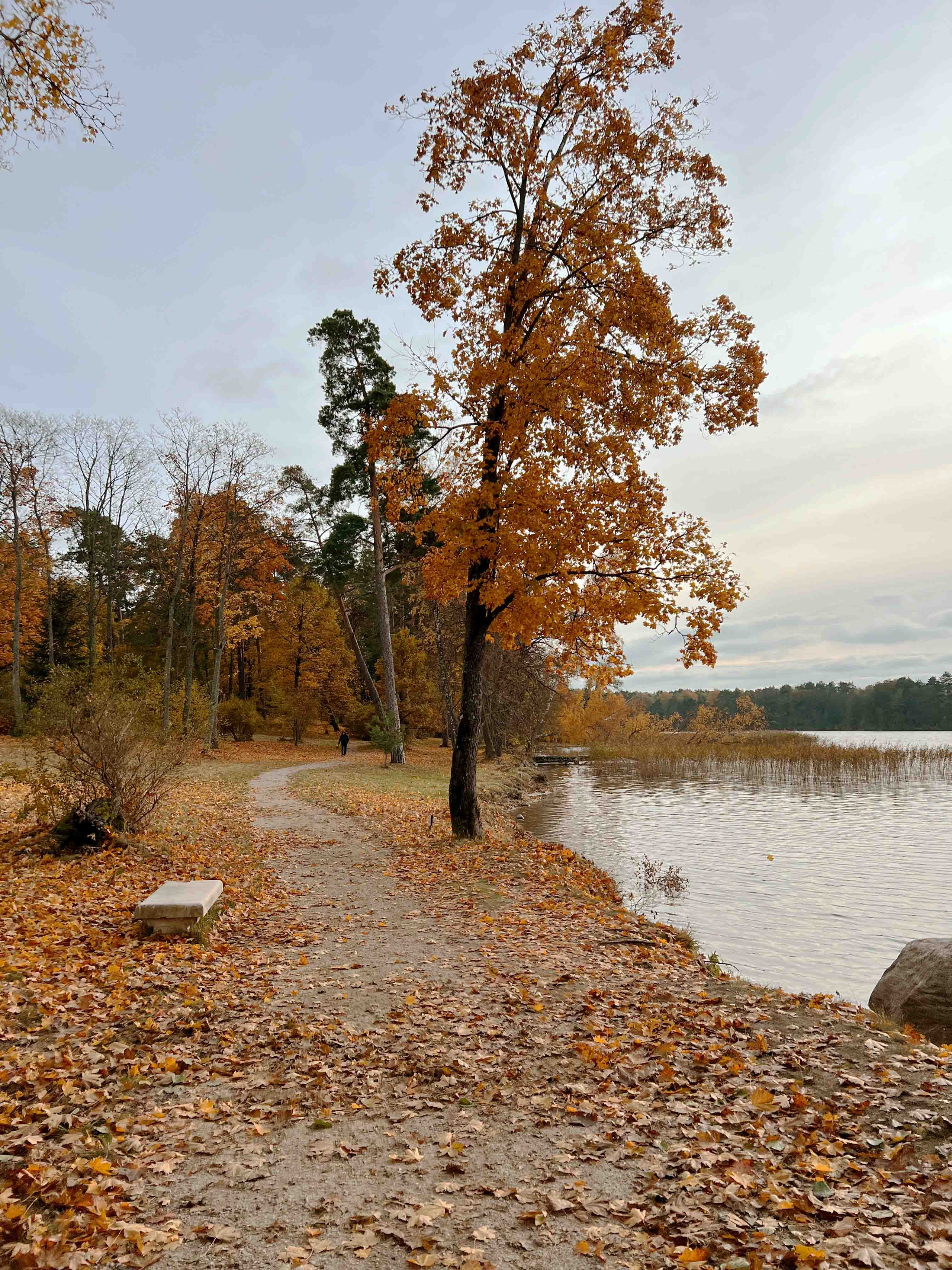 Best Autumn Photoshoot Locations in Vilnius: Top Spots to Capture the Fall Colors. Framed by Evelina | Destination Wedding Photographer from Lithuania | Europe