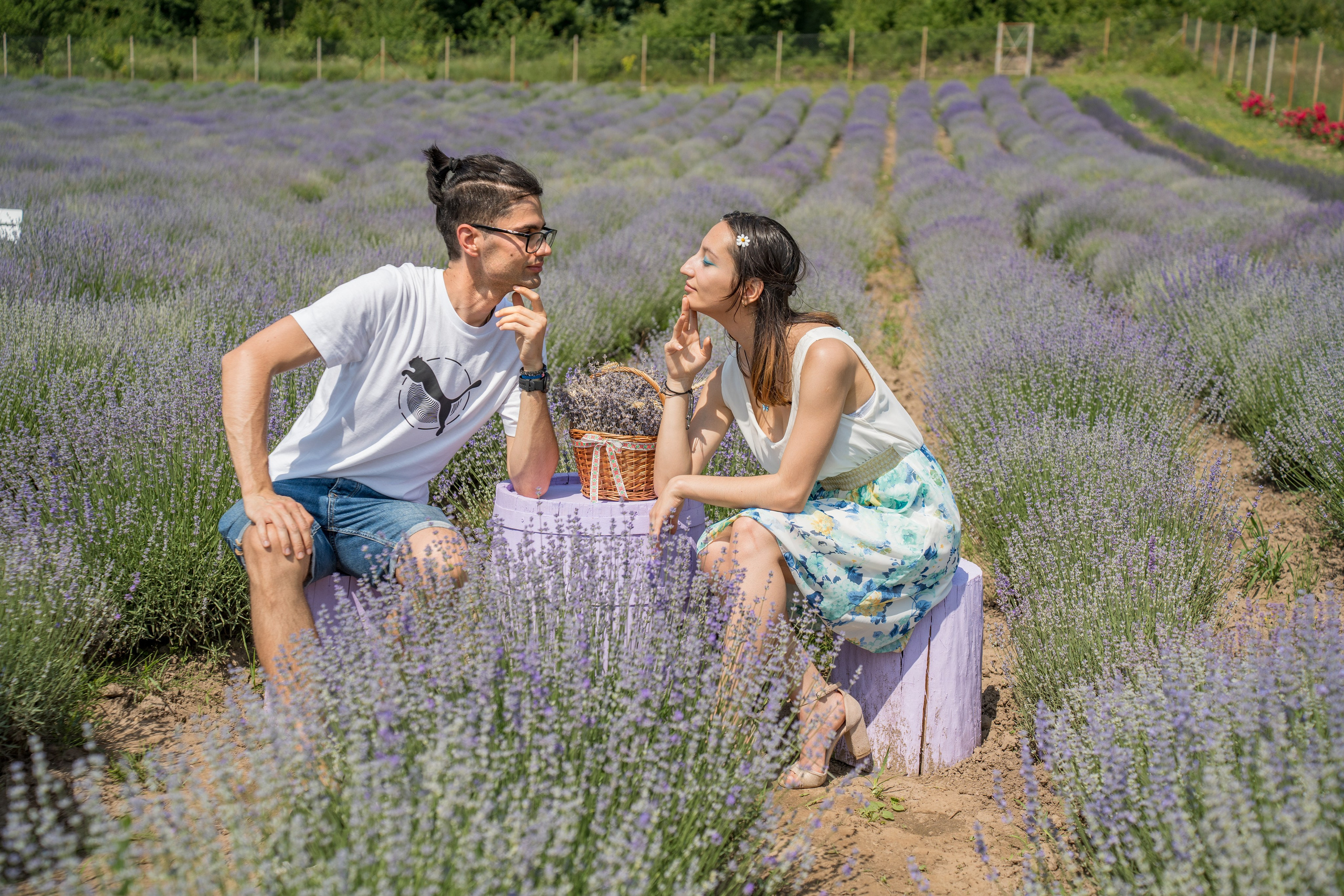 Ședință foto în Lavandă. Mihai Alexandra Events
