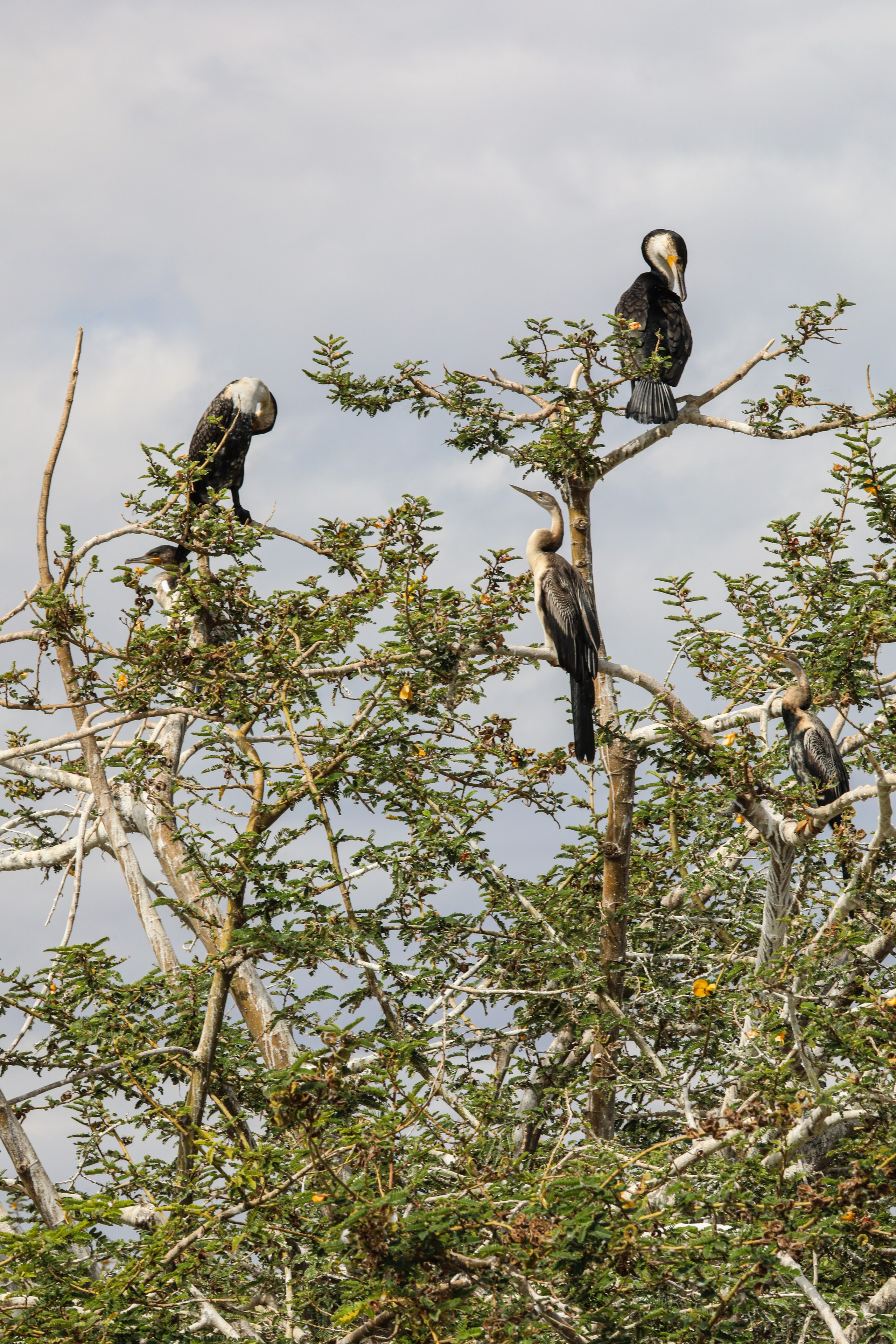 Ethiopia. Documentary, lifestile photographer in Morocco Marina Chaikovskaia