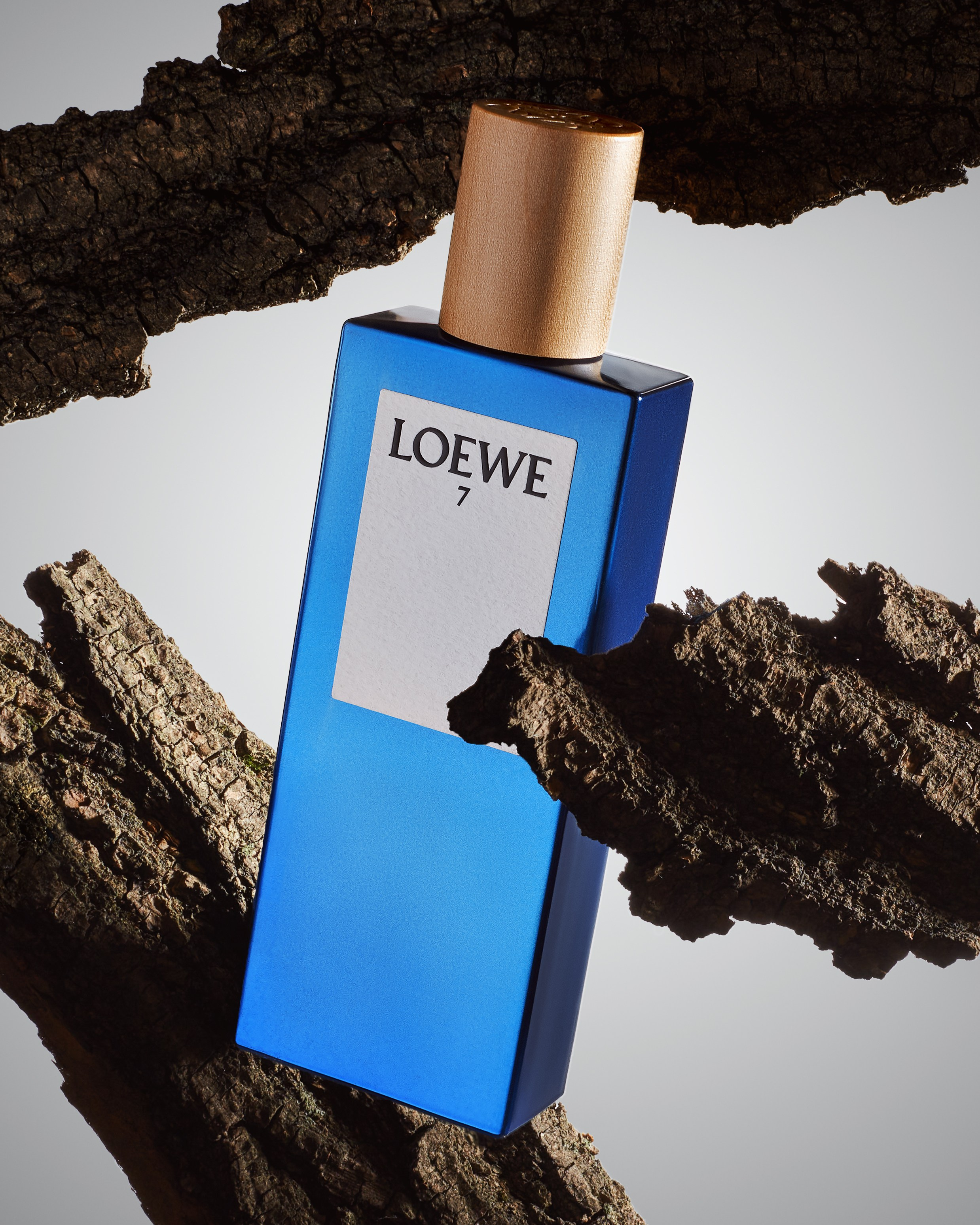 Loewe. Алина Ефимова — ретушёр (beaty, fashion, product)