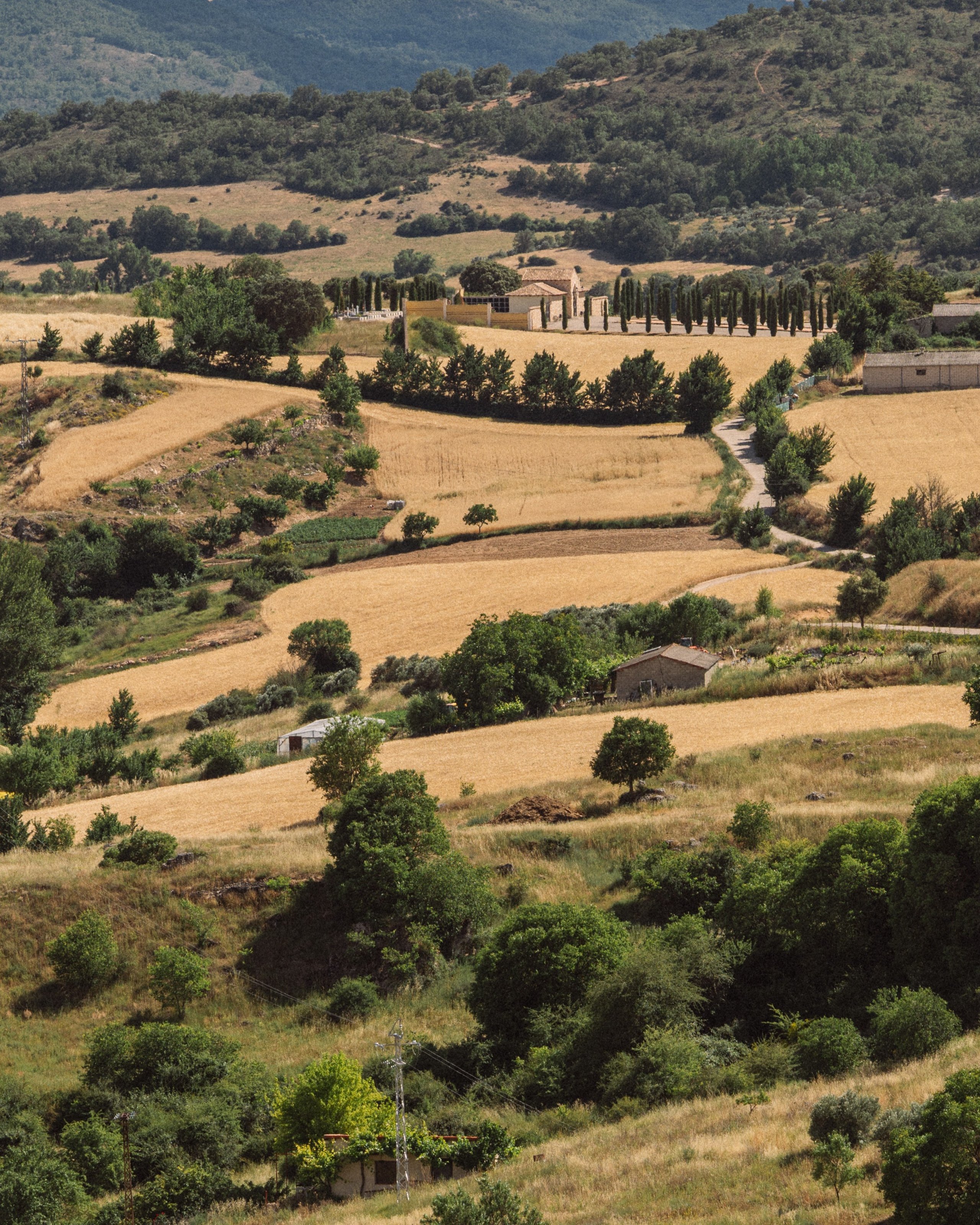 Brihuega. Фотограф в Мадриде Алена Белянинова