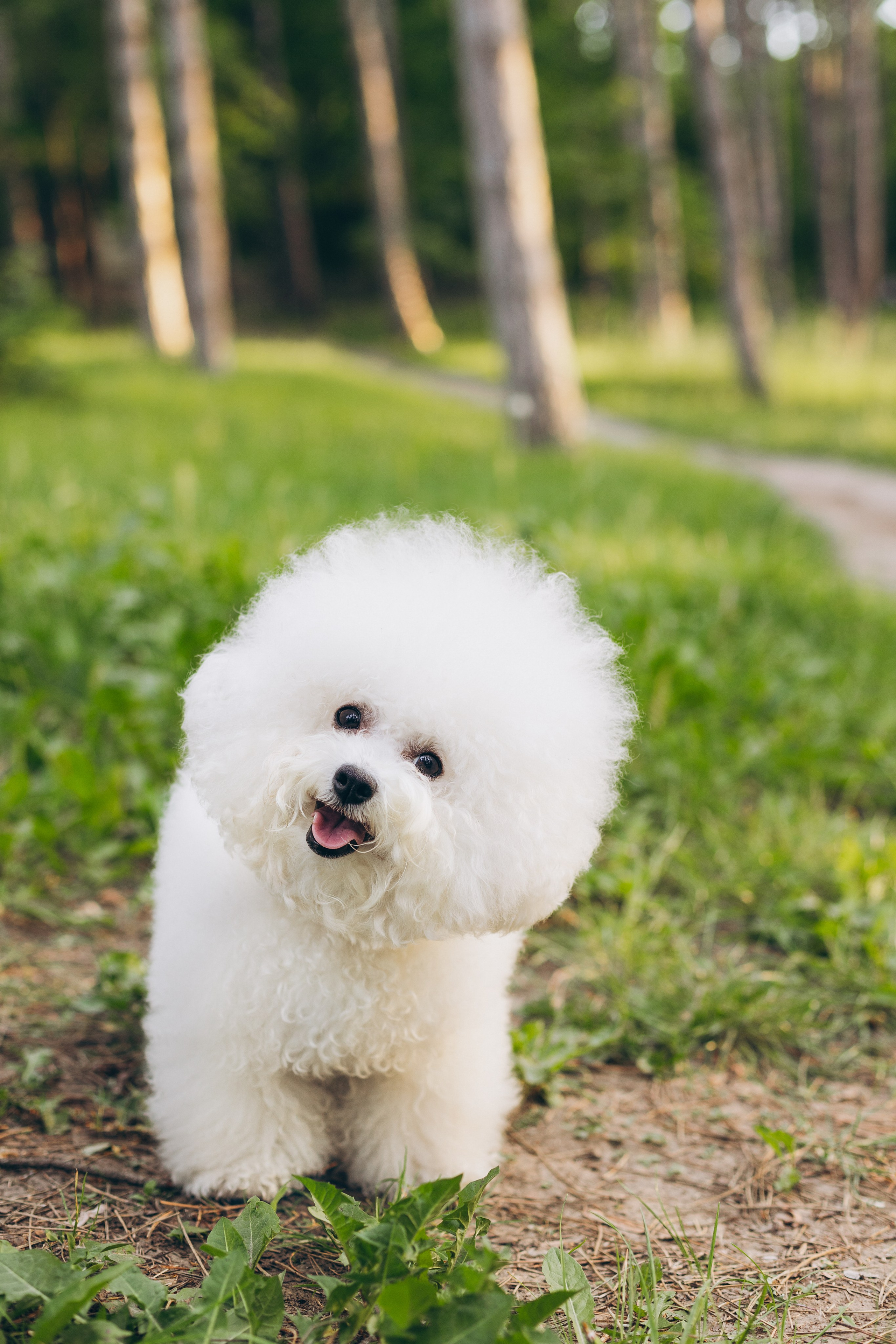 Sara. Семейный фотограф в Кишинёве Пулькина Ольга