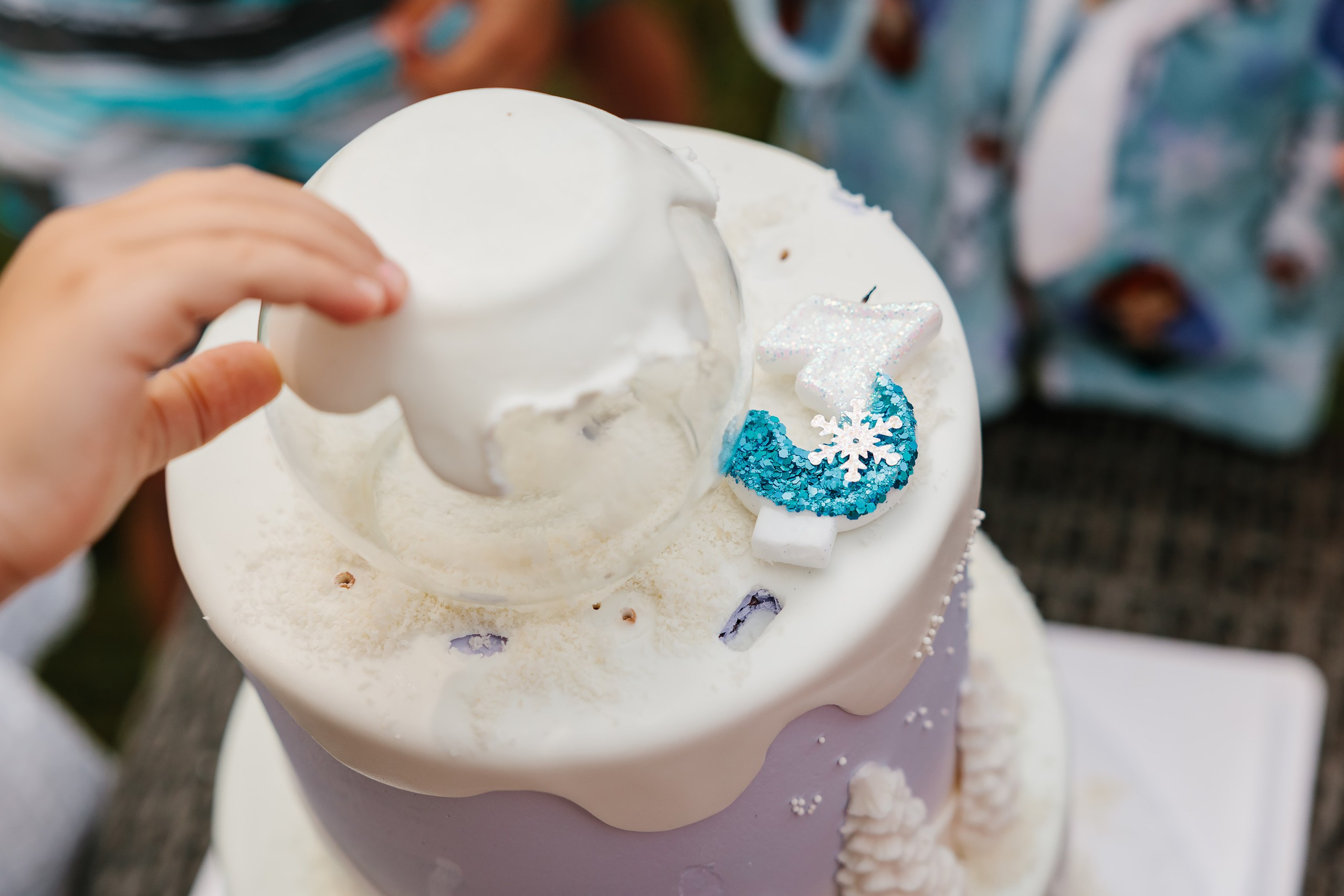 07.27.2024 Birthday Party. Wedding family event photographer in Chicago Nick Yushevich