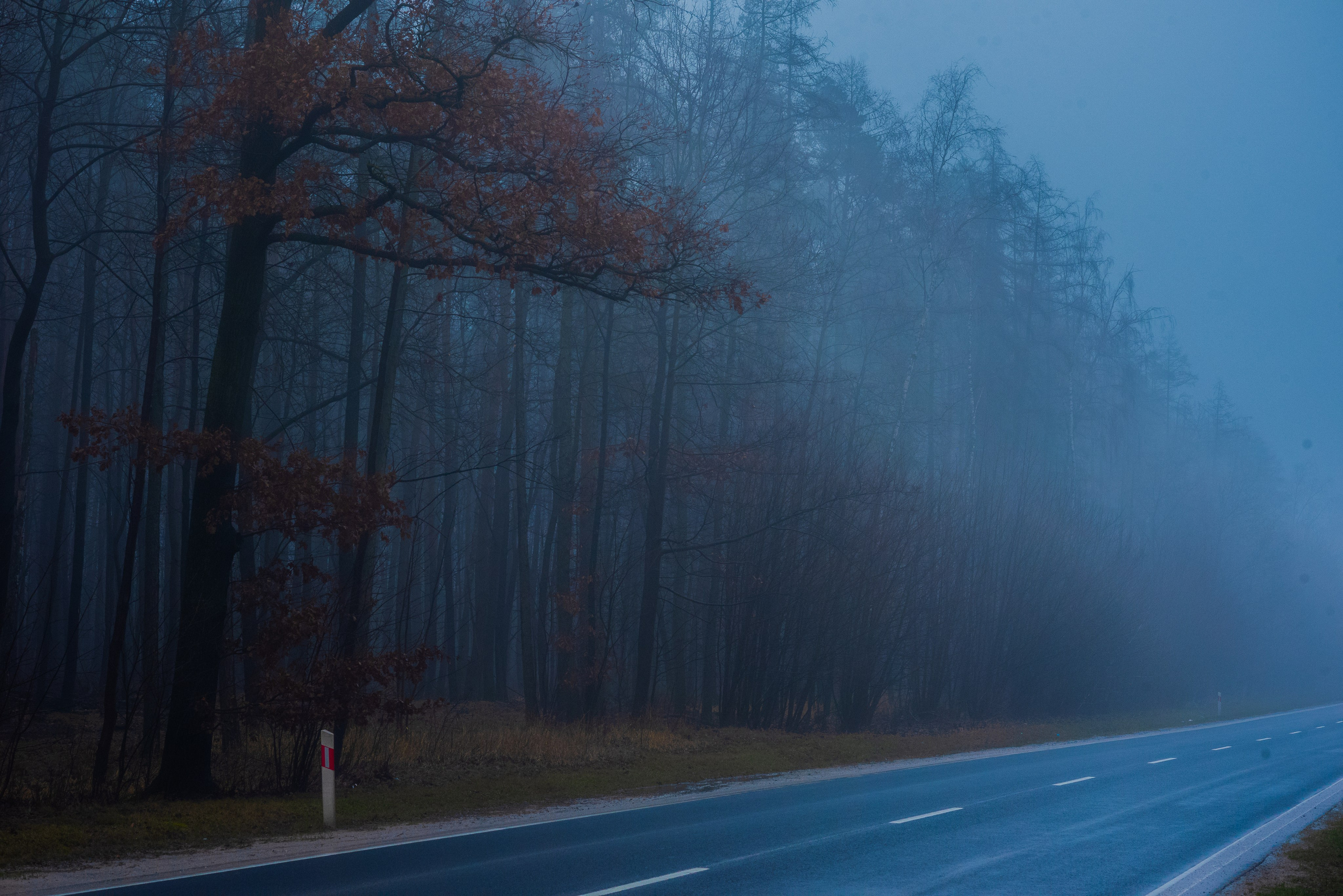 Туман в полях. Kindshephoto Женский и семейный фотограф Москва
