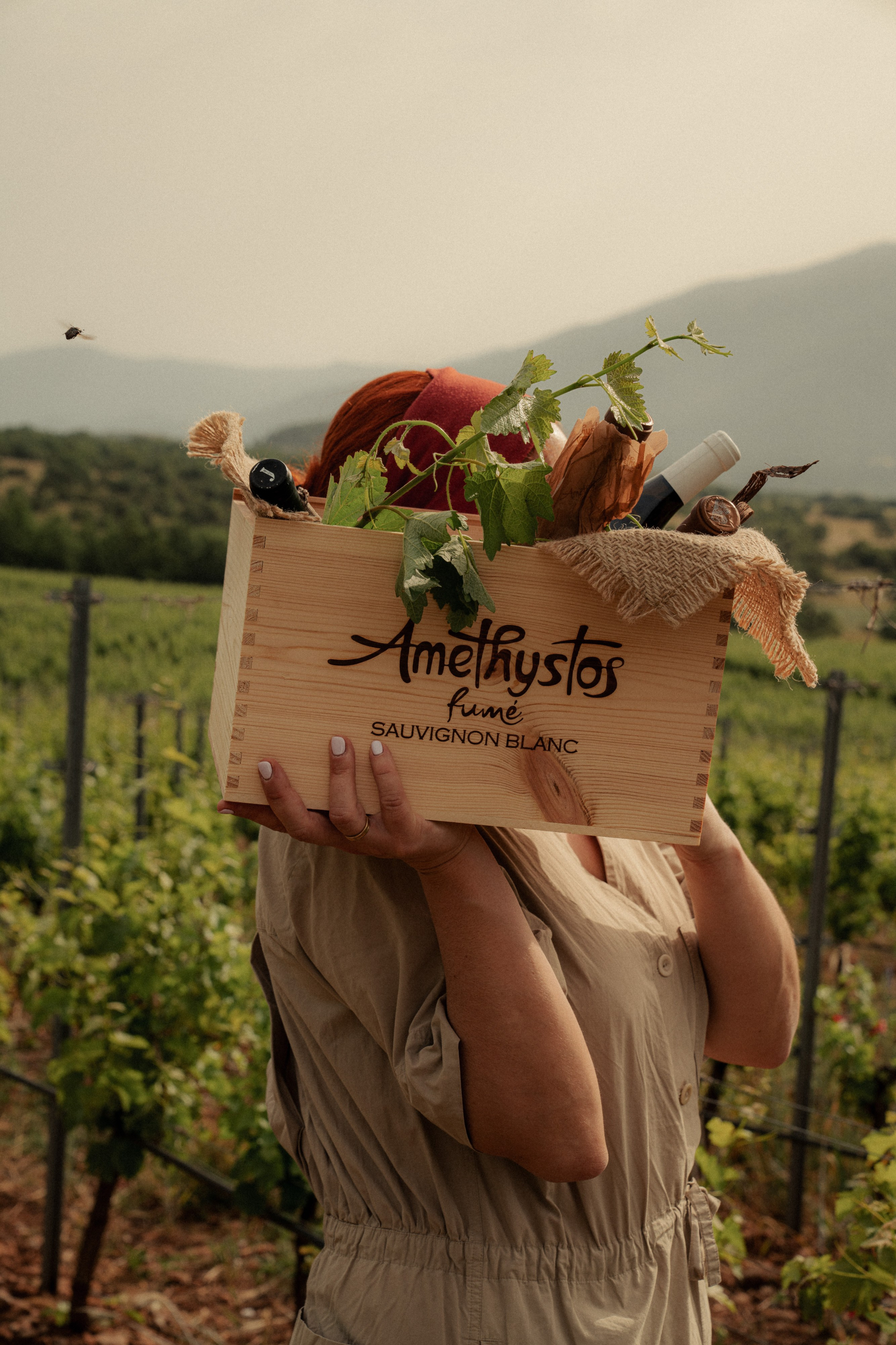 Estates Costa Lazaridi