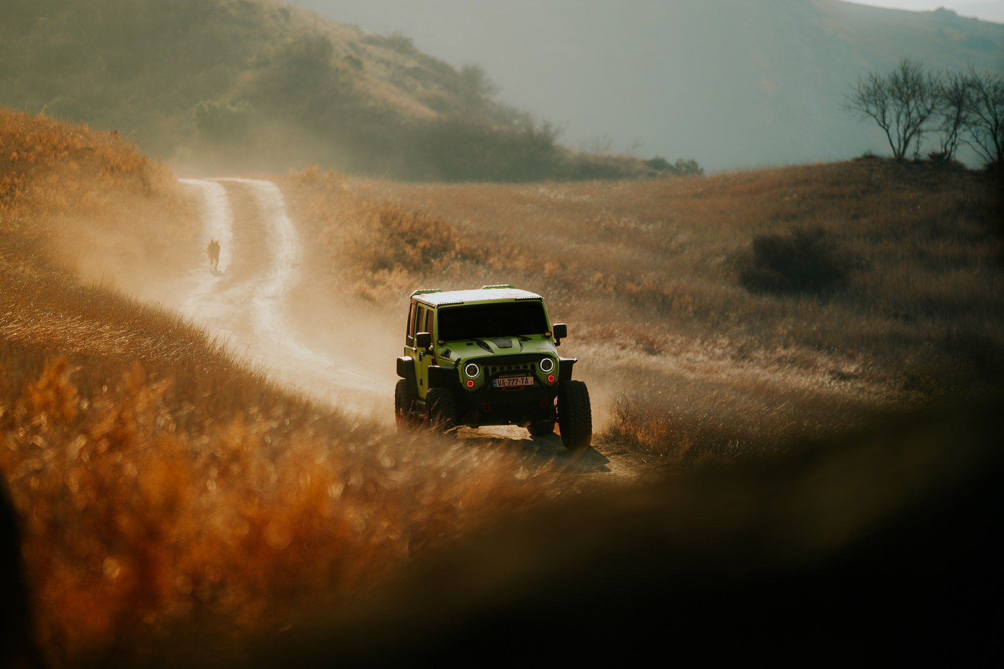 JEEP. Merabi Eminashvili