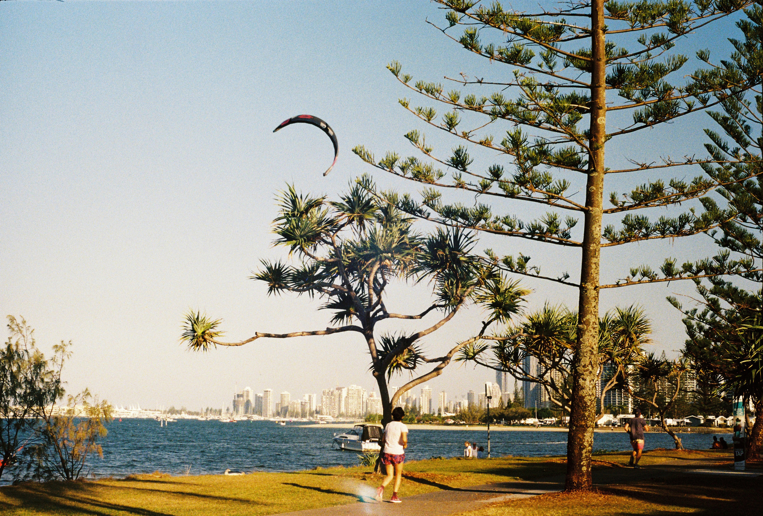 Family, couple and portrait photographer in Gold Coast