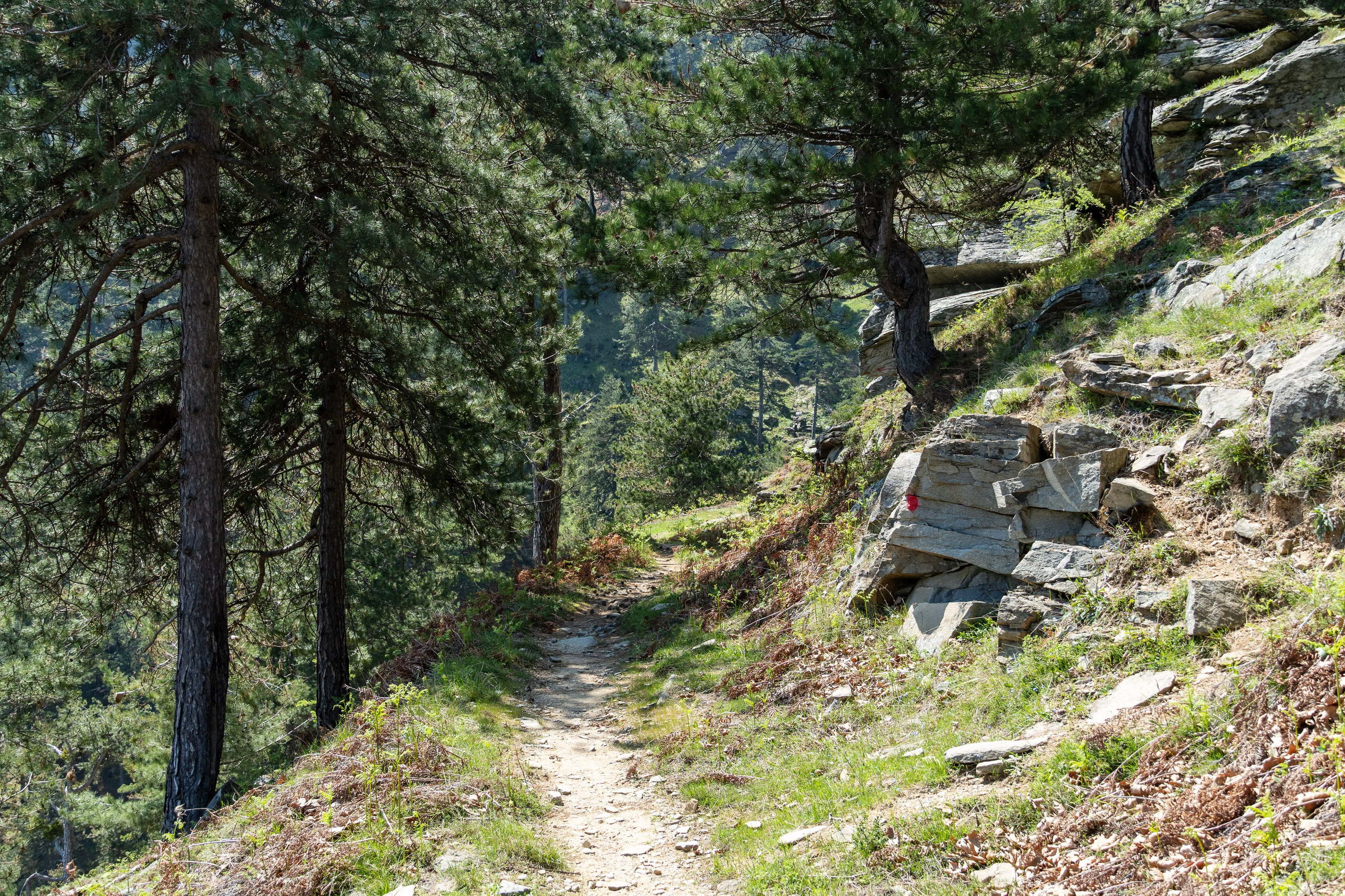 Thasos 2025. Fotografiideplacere.net