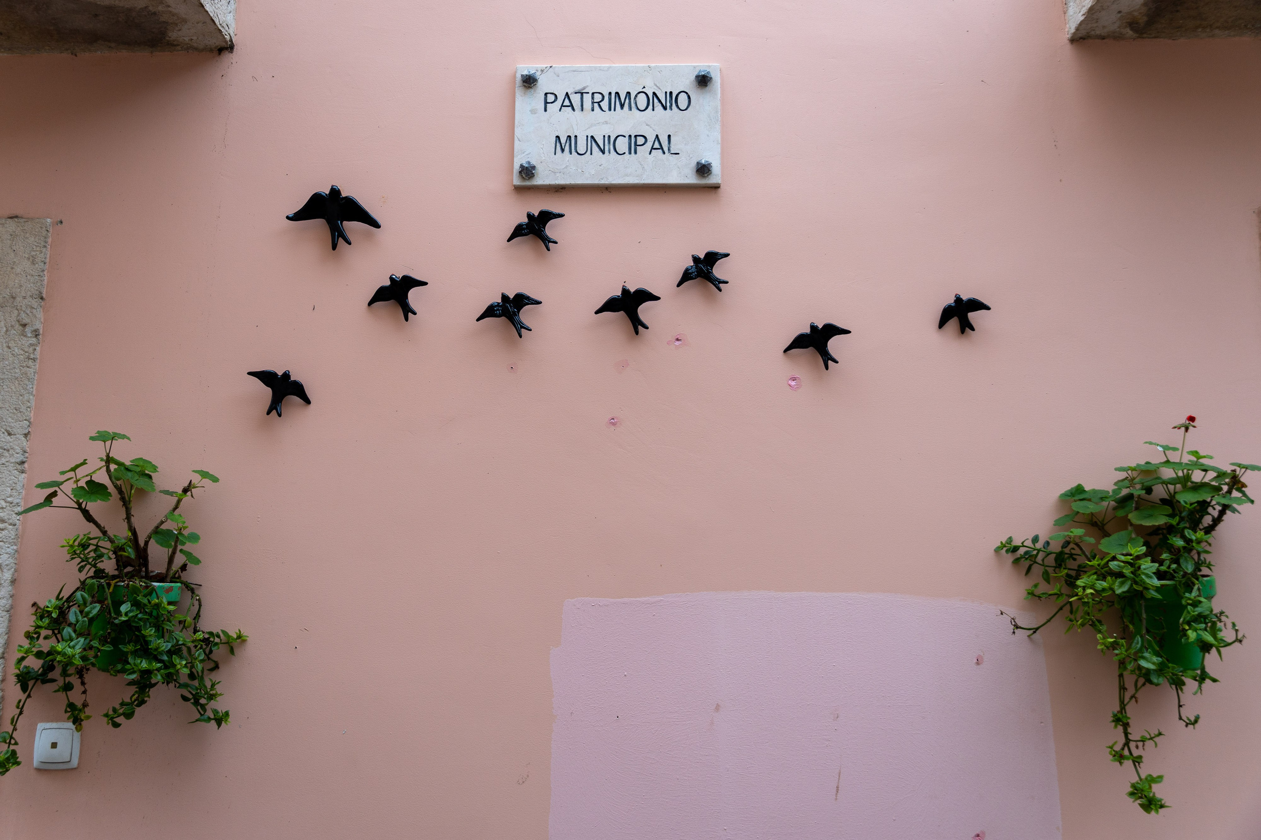 Lisabona 2025. Fotografiideplacere.net