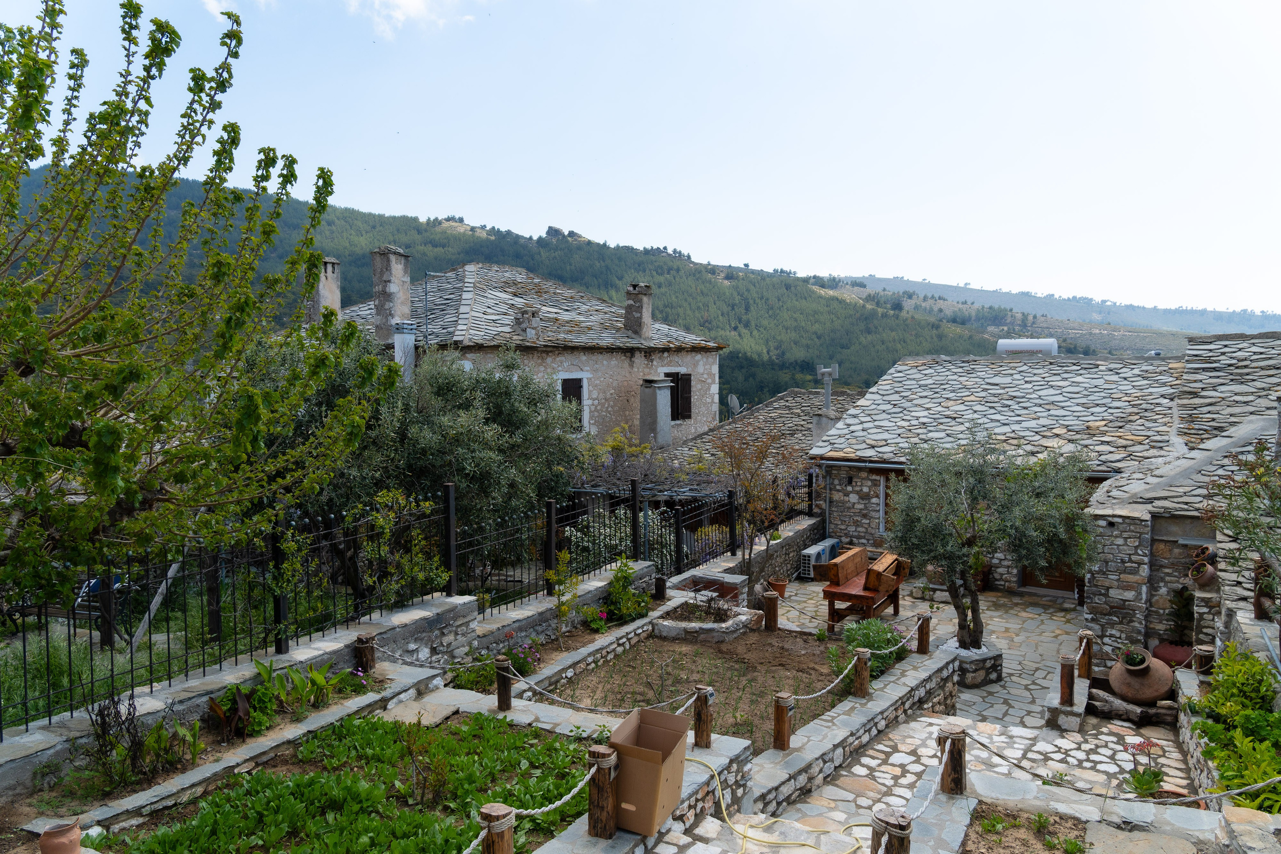 Thasos 2025. Fotografiideplacere.net