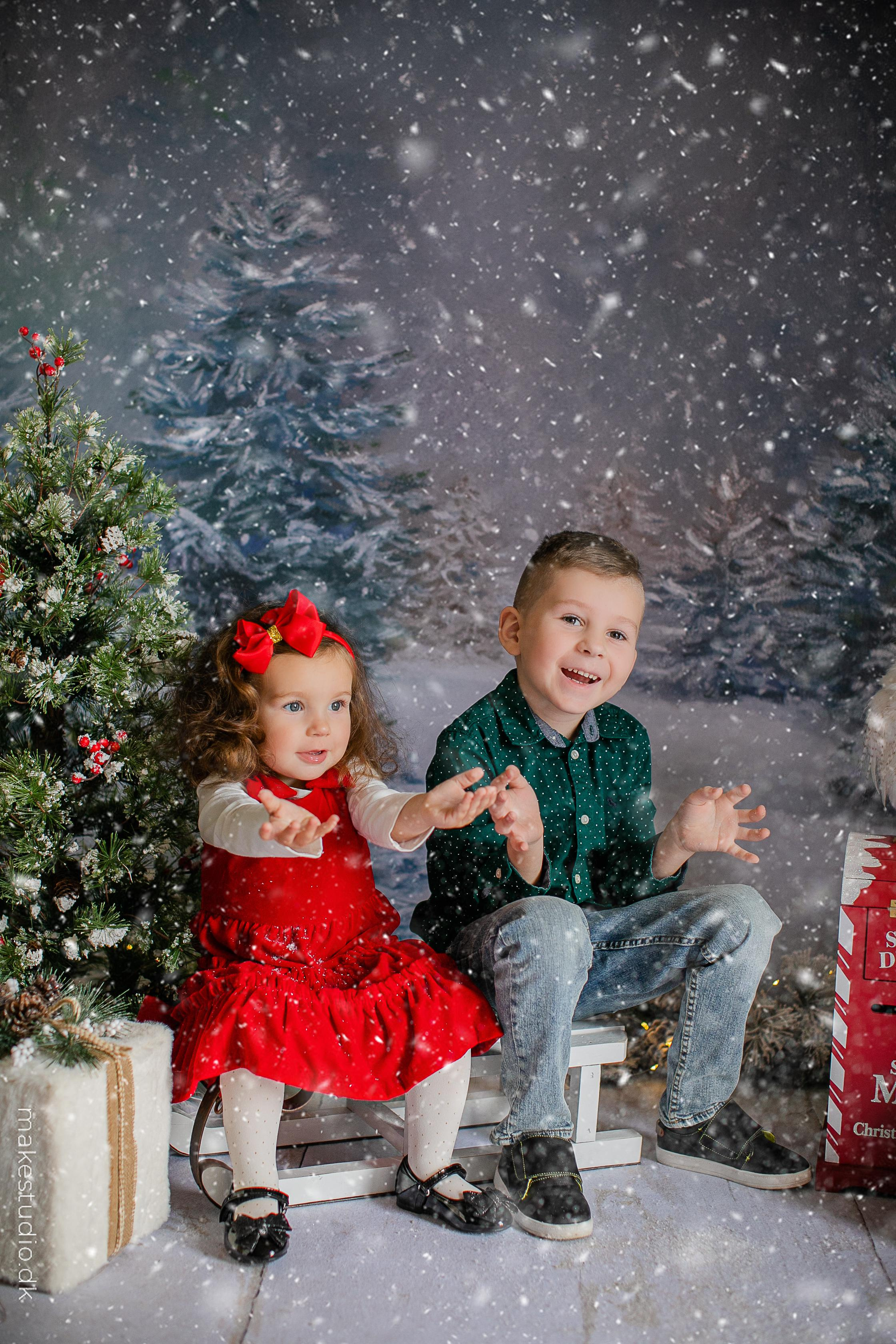 Mini-session. Family, kids portrait and newborn photographer in Chicago Illinois