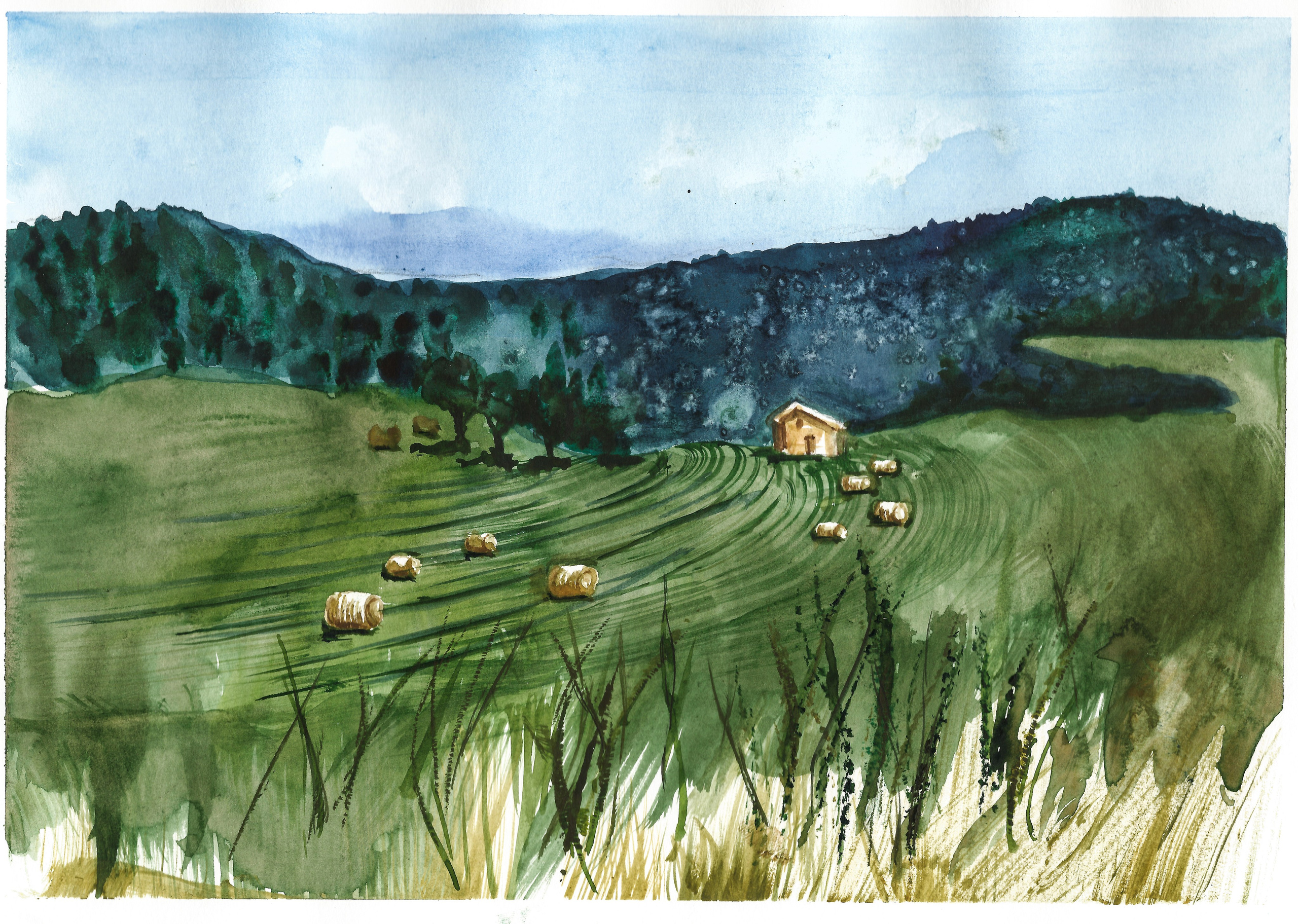 Nature landscapes. Angelina Sorokopud. Artist in Strasbourg