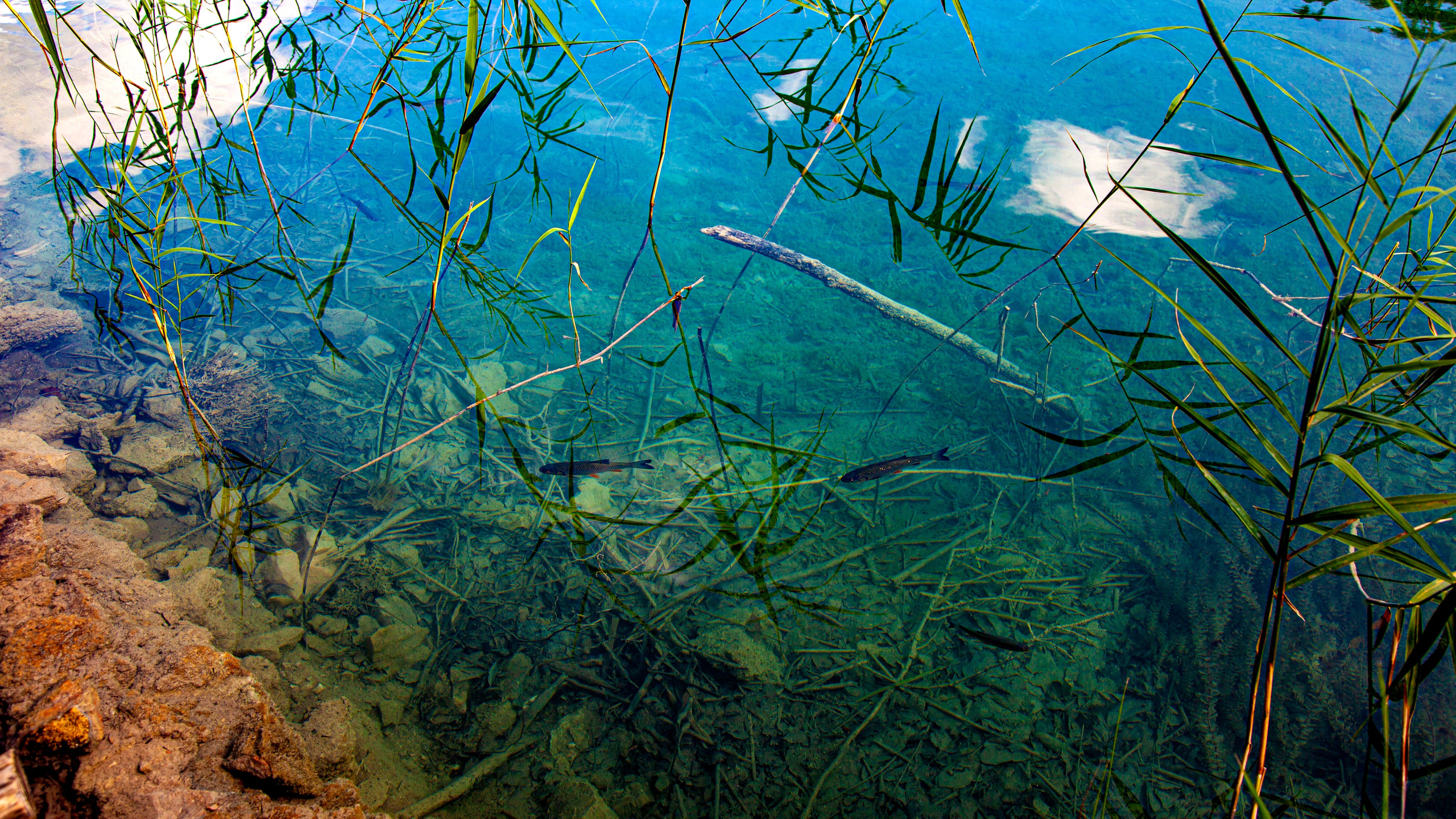 161.Plitvice lakes.17.9.2023. Путешествия в формате 360......