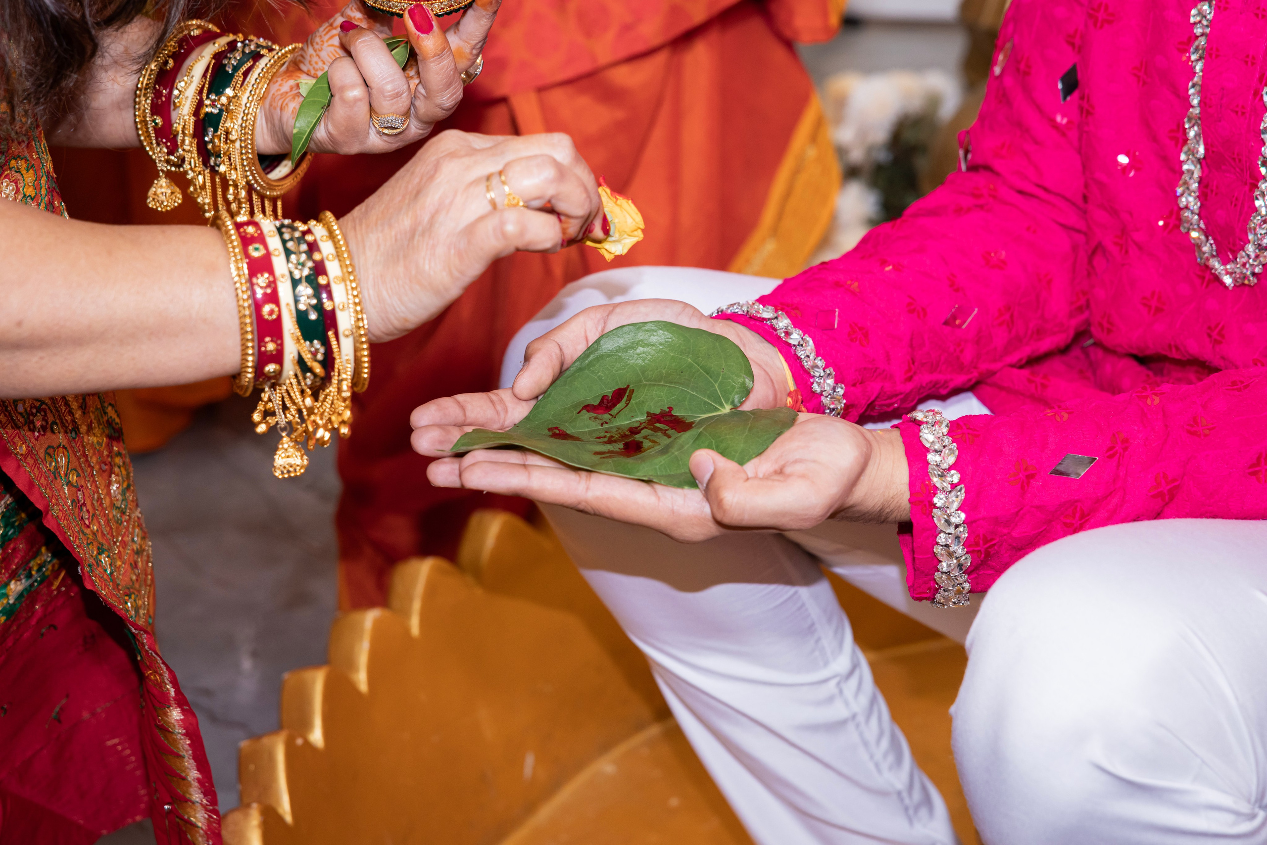 Purva and Vivek. Irina Ermak wedding photographer in New York