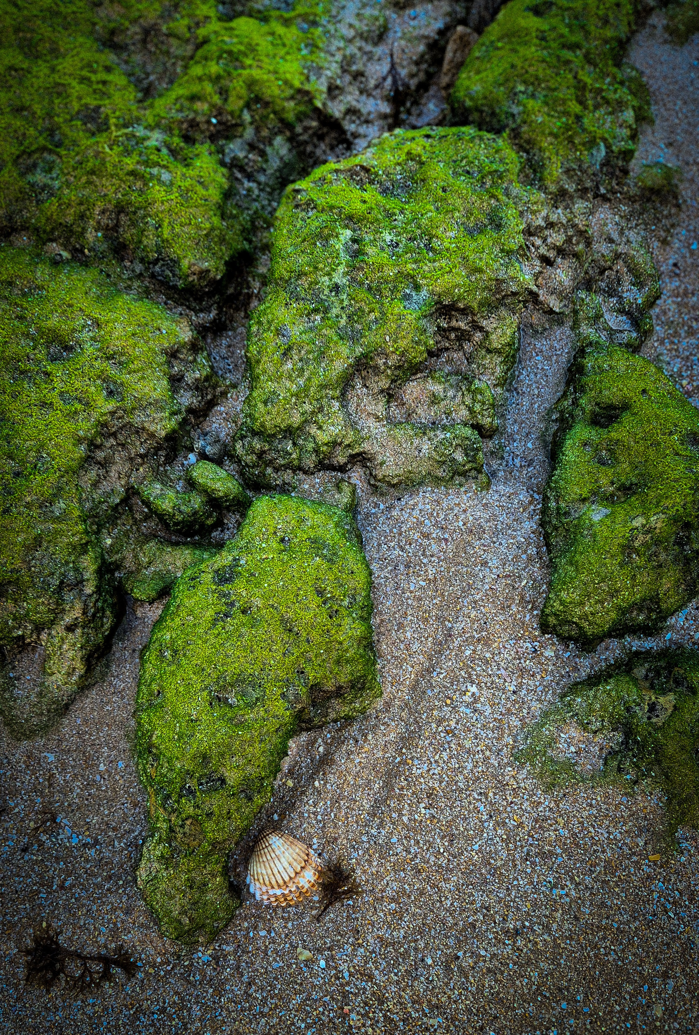 Portugal 2024. Марина фотограф из Нюрнберга