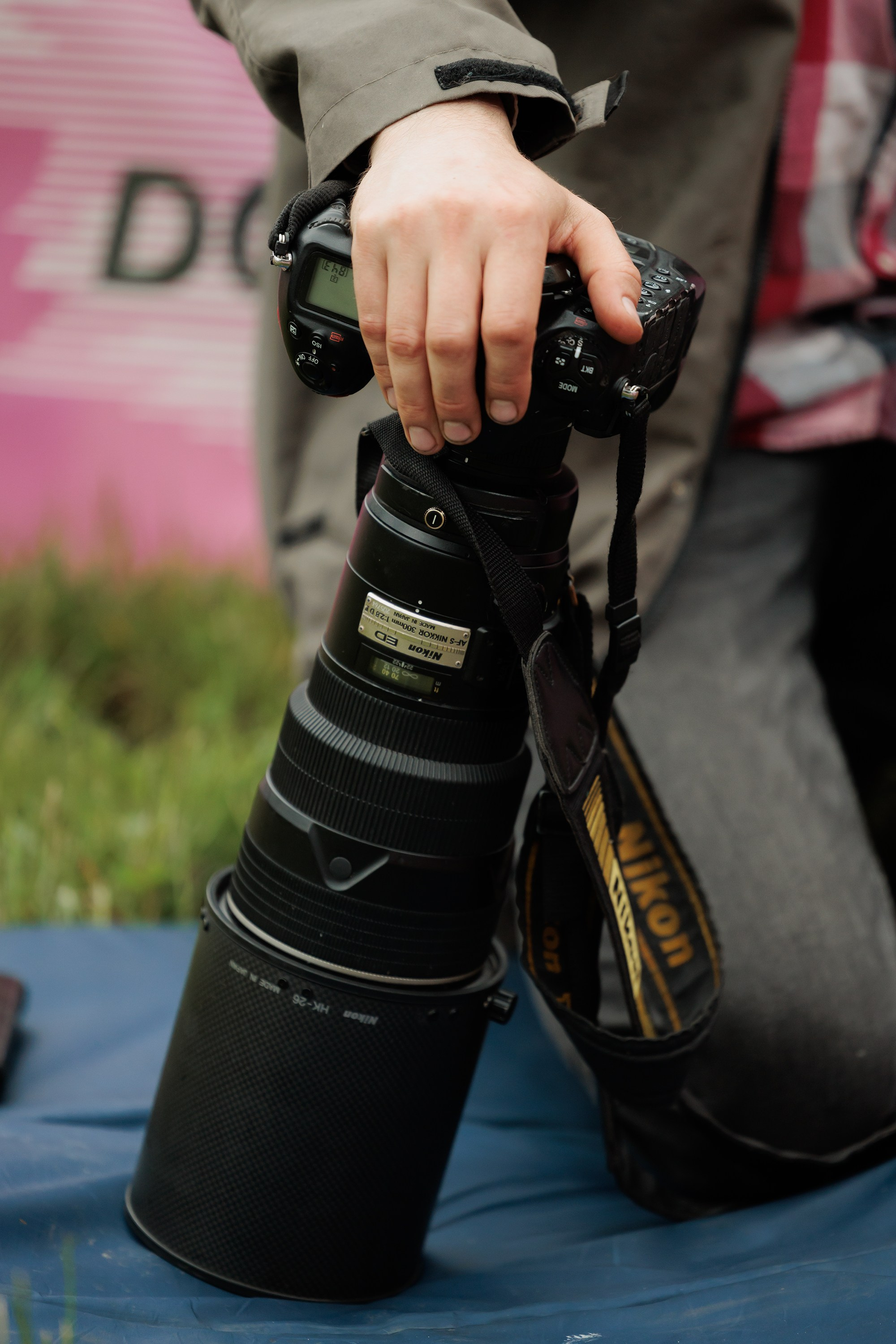 Latające psy, Wrocław'25. Kaja | fotograf psów we Wrocławiu