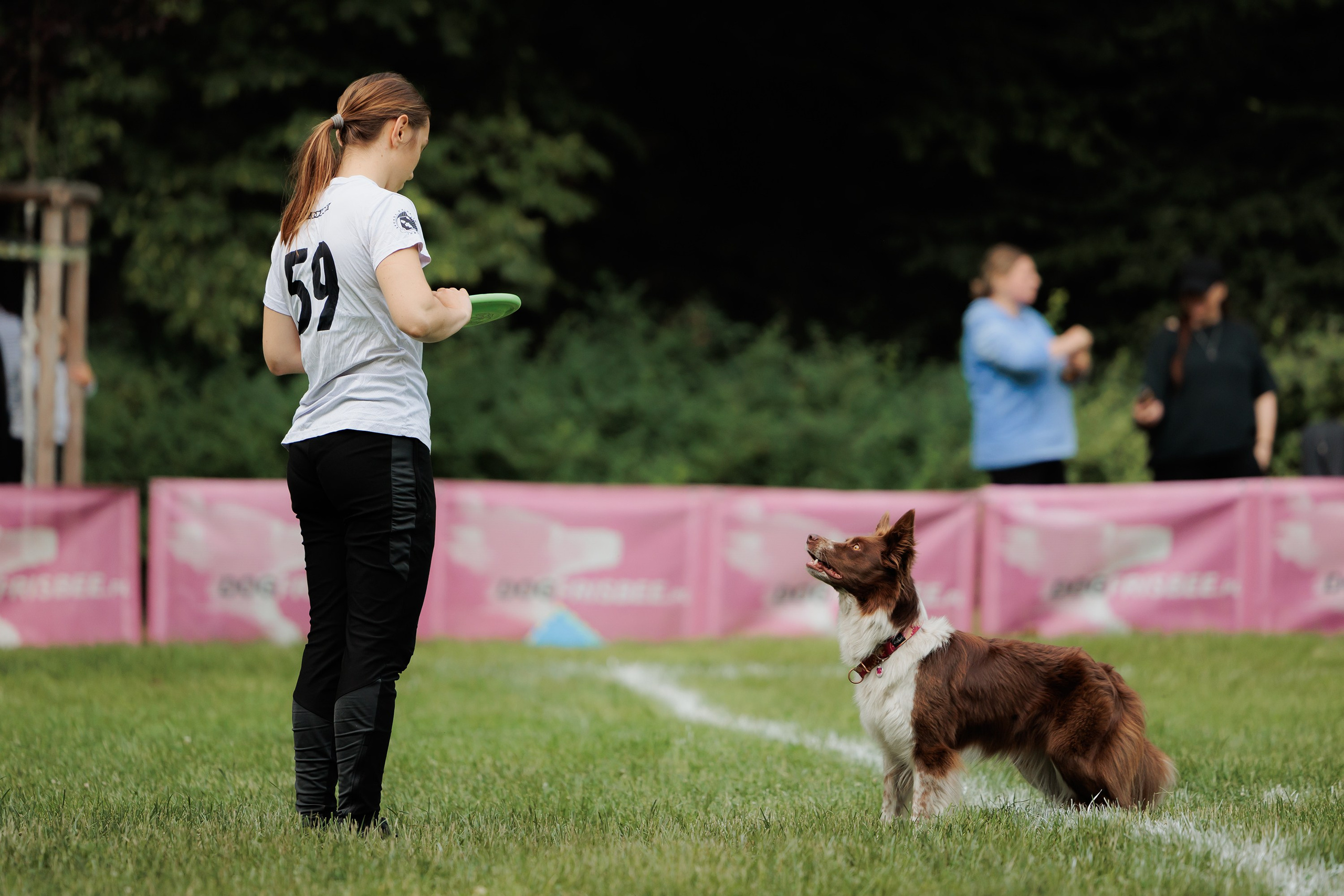 Latające psy, Wrocław'25. Kaja | fotograf psów we Wrocławiu