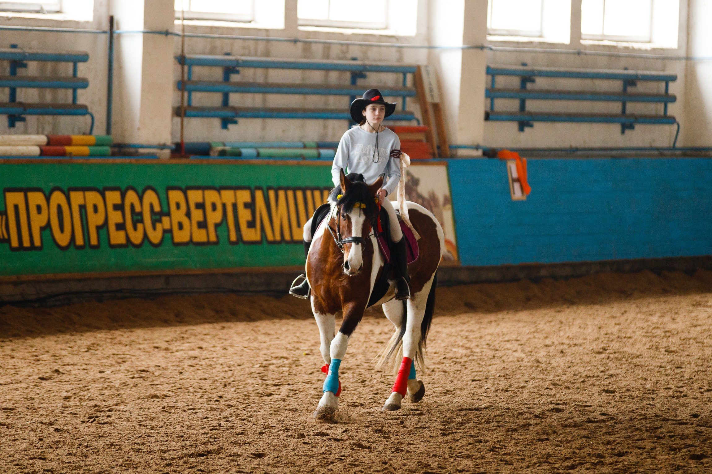 Horse winter games. Kaja | fotograf we Wrocławiu | ludzie i psy