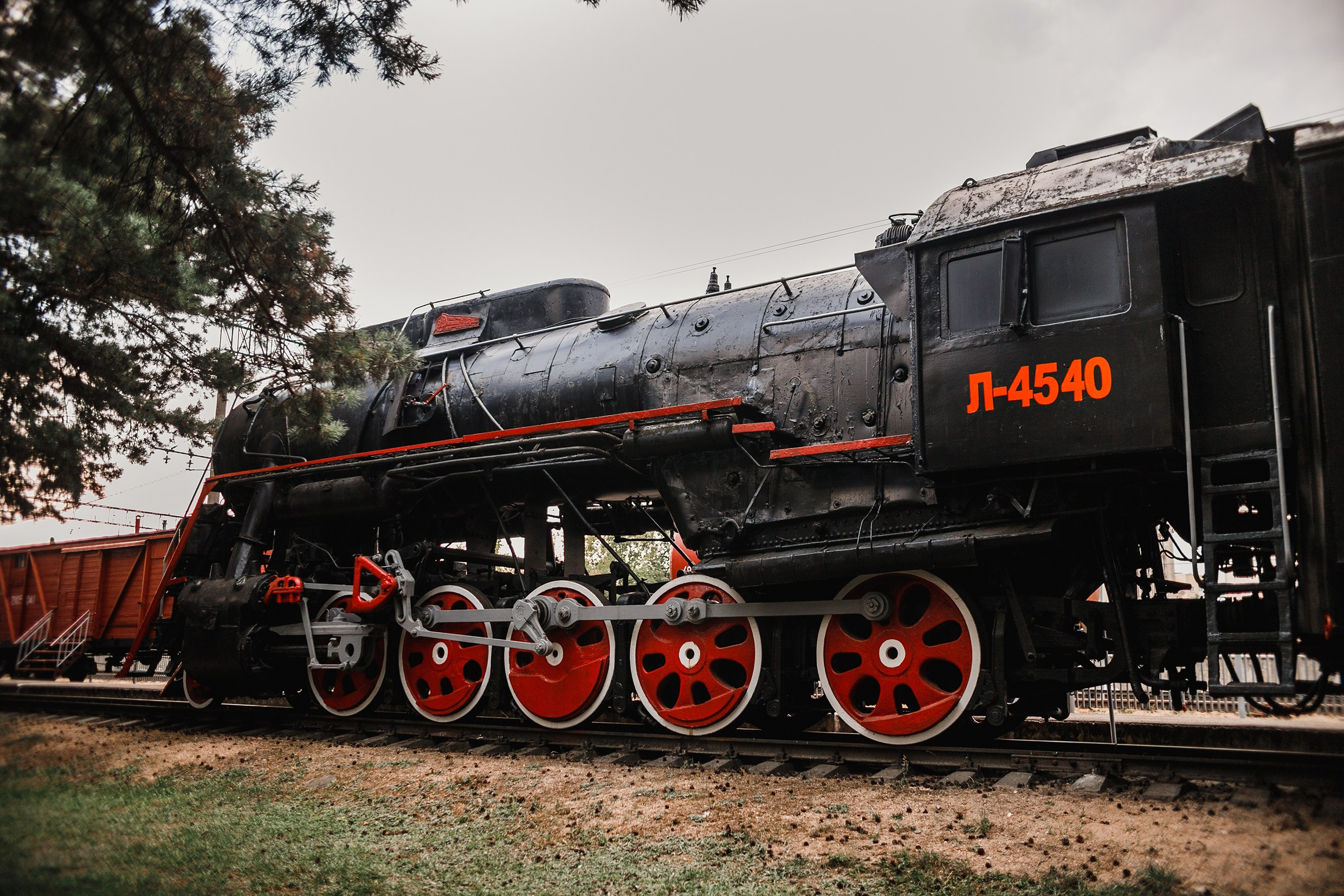 Narrow-gauge railway trip. Kaja | fotograf psów we Wrocławiu